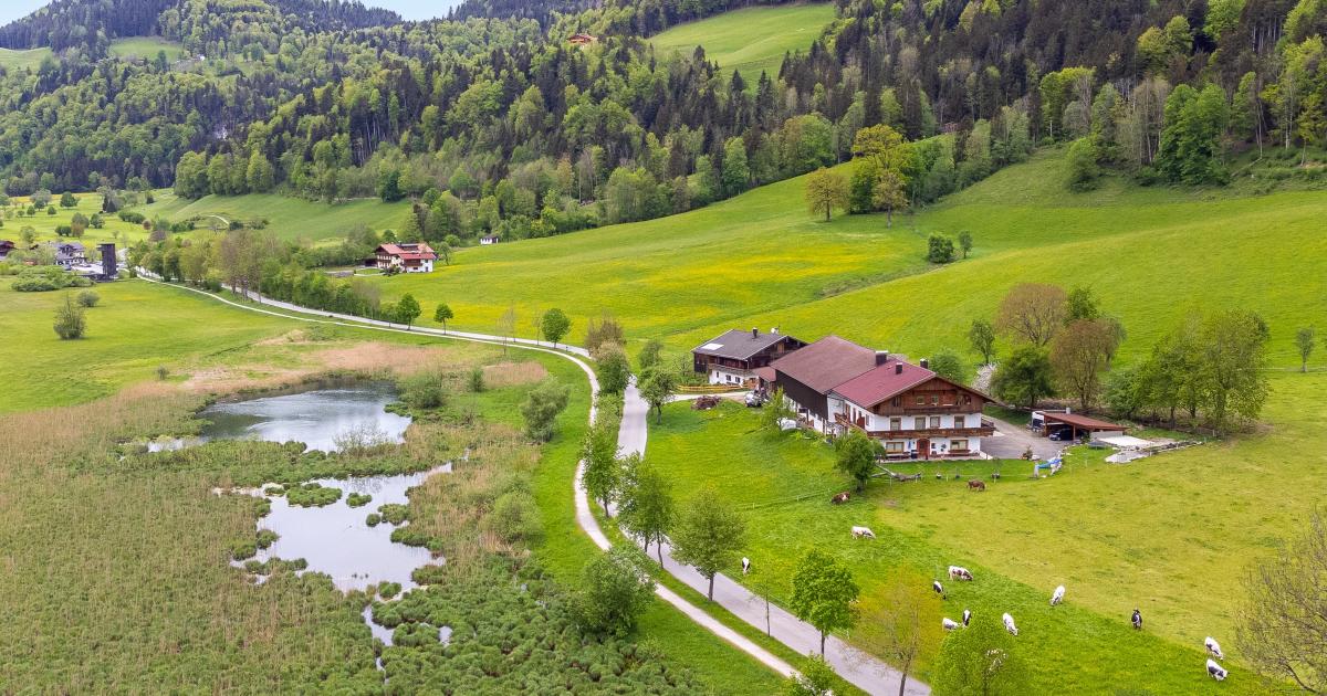Marschbachhof Top 2 — 2