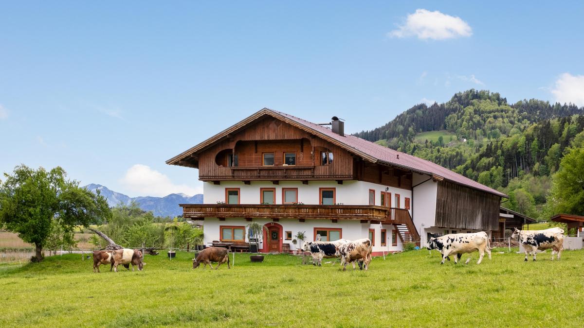 Marschbachhof Top 1und2 — 3