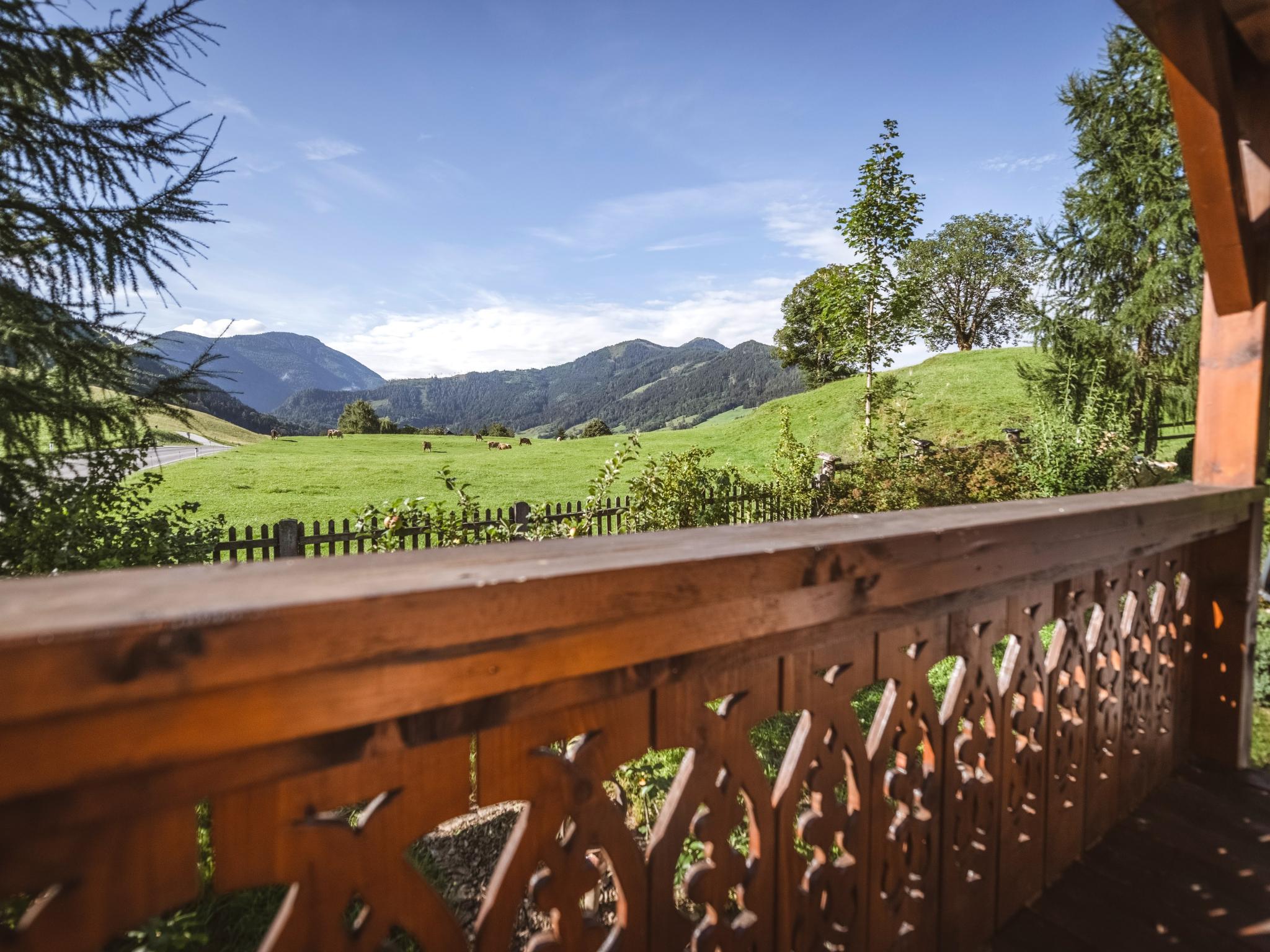 Modern kitchen at Naturpark Chalet Schladming-Dachstein in Großsölk