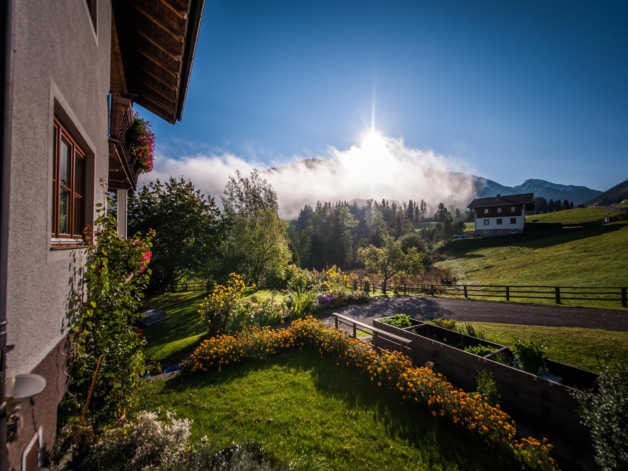 Outdoor terrace and views at Pistenblick Forstau in Forstau