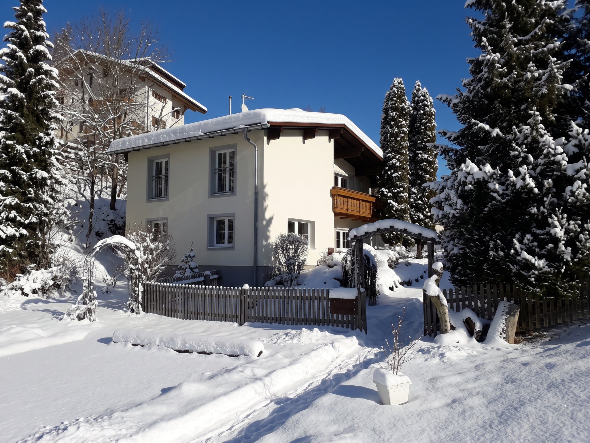 Petter 1