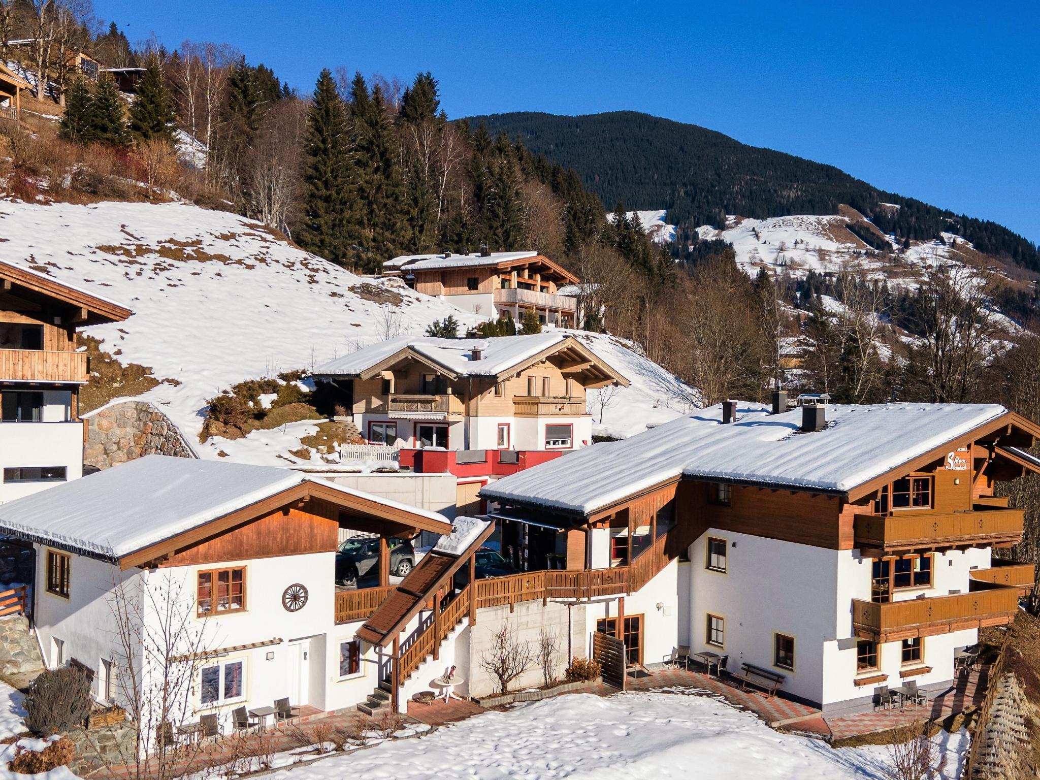 Alpensteinbock - appartement in Saalbach - voor wintersport