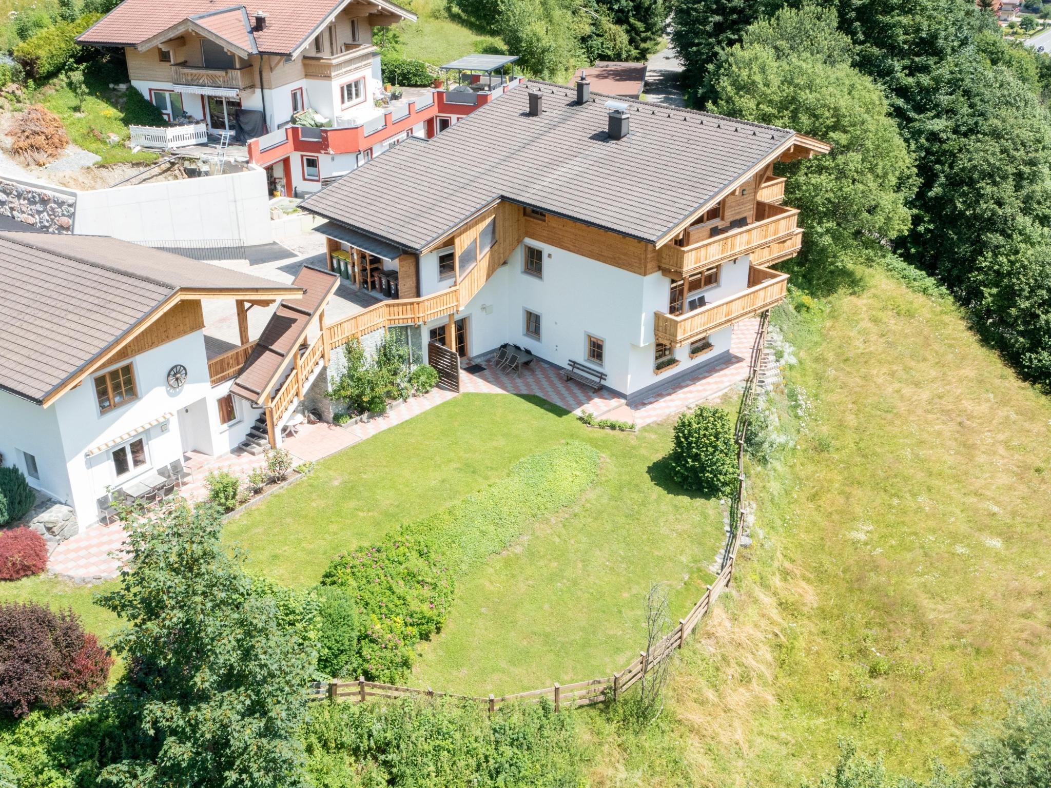 Alpensteinbock Saalbach A – afbeelding 5