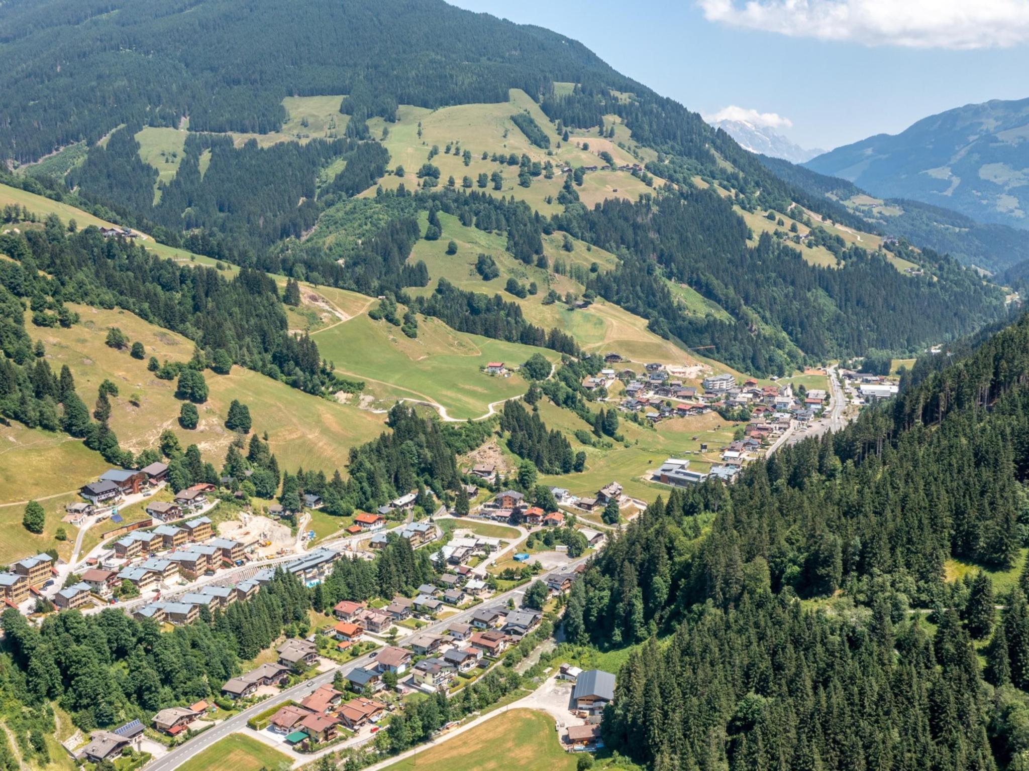 Alpensteinbock Saalbach A foto 19