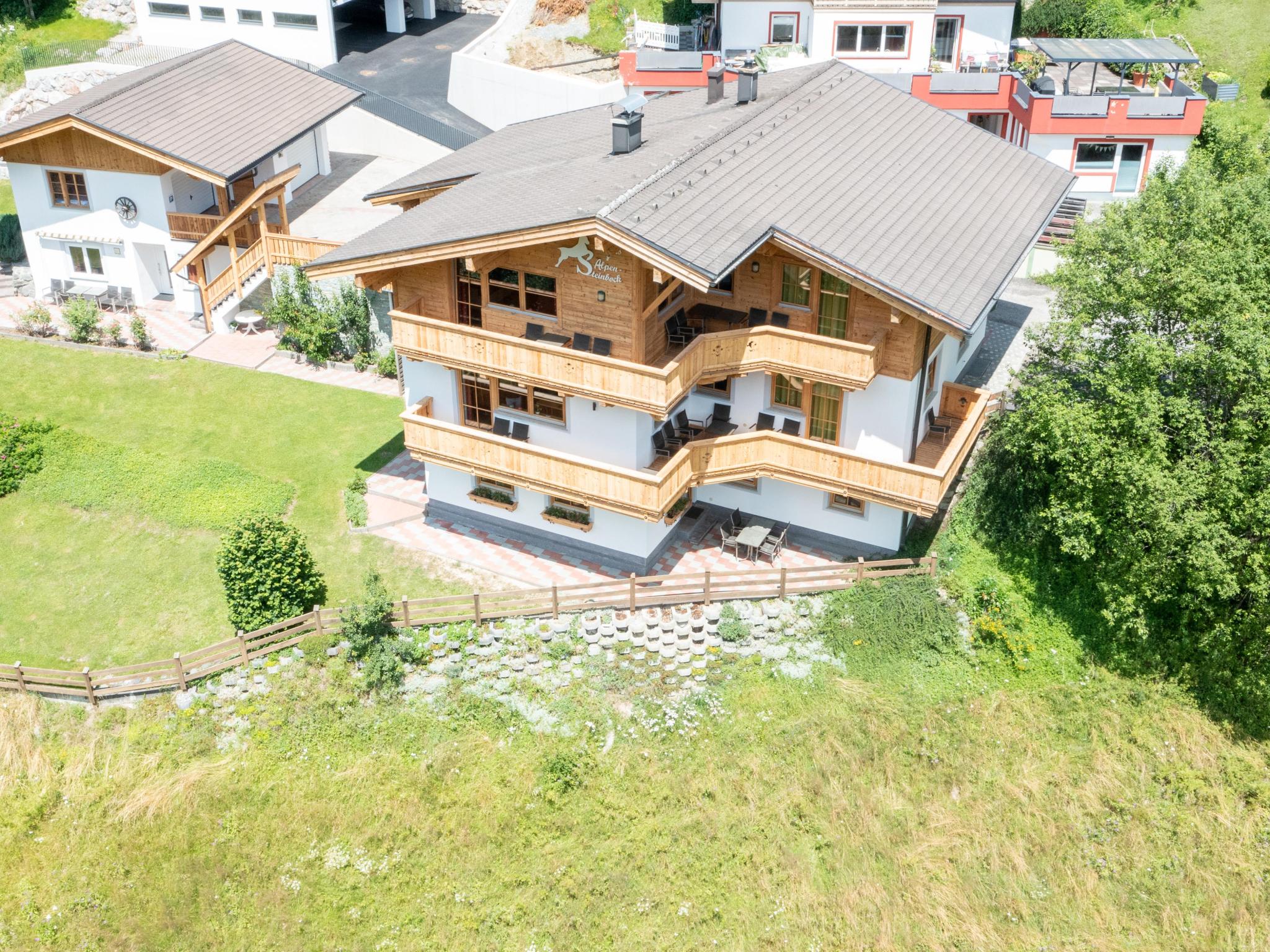 Alpensteinbock Saalbach B