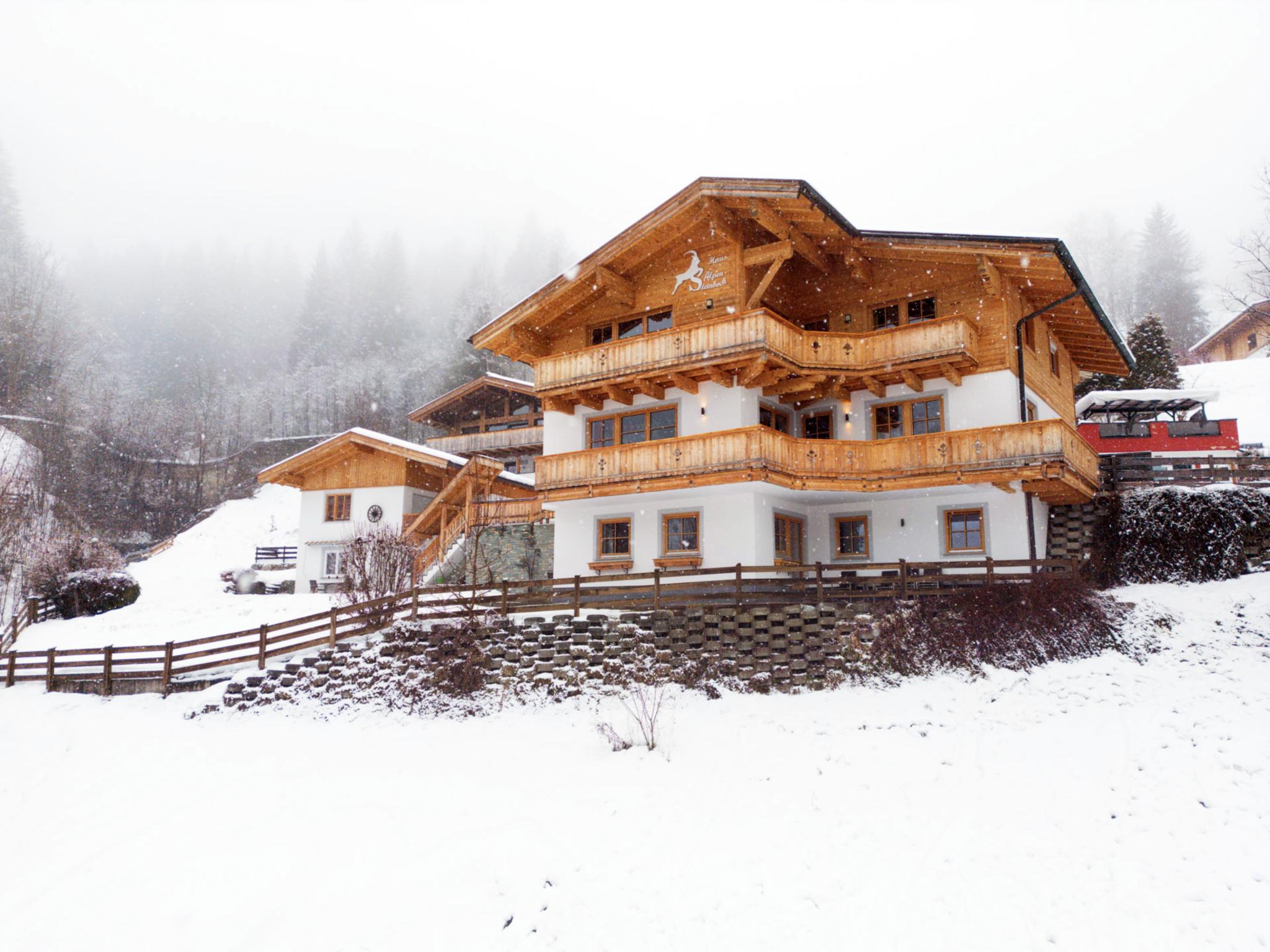 Alpensteinbock Saalbach D Salzburgerland