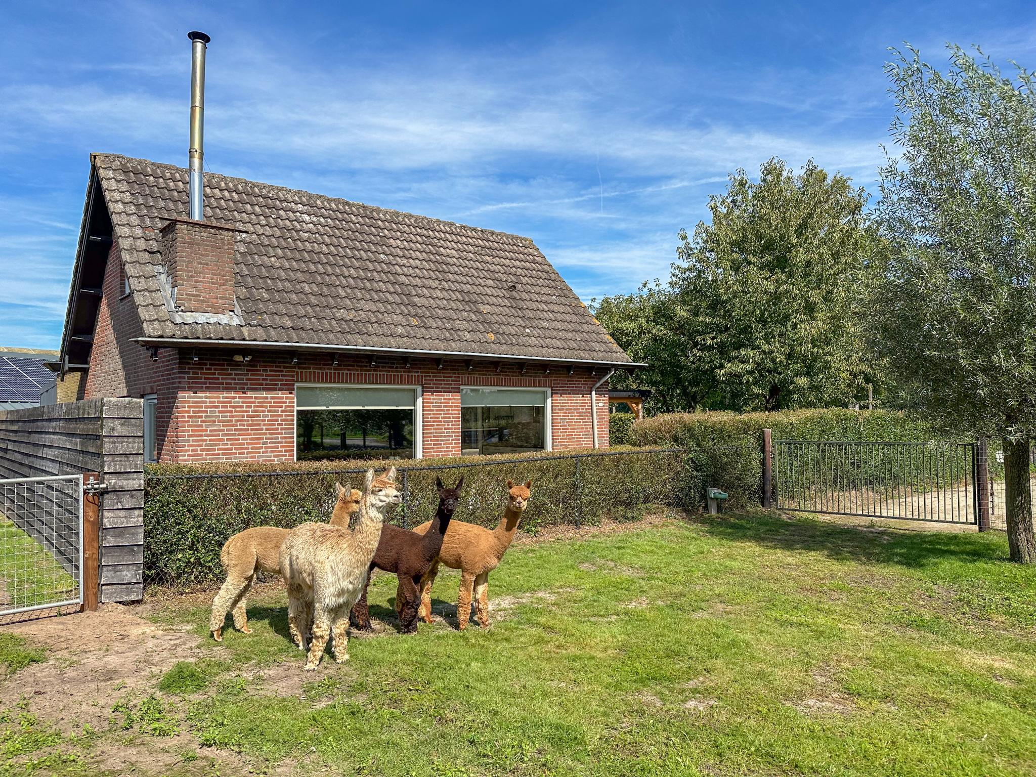 Bedroom with comfortable beds at Alpacafarm Vorstenbosch in Vorstenbosch
