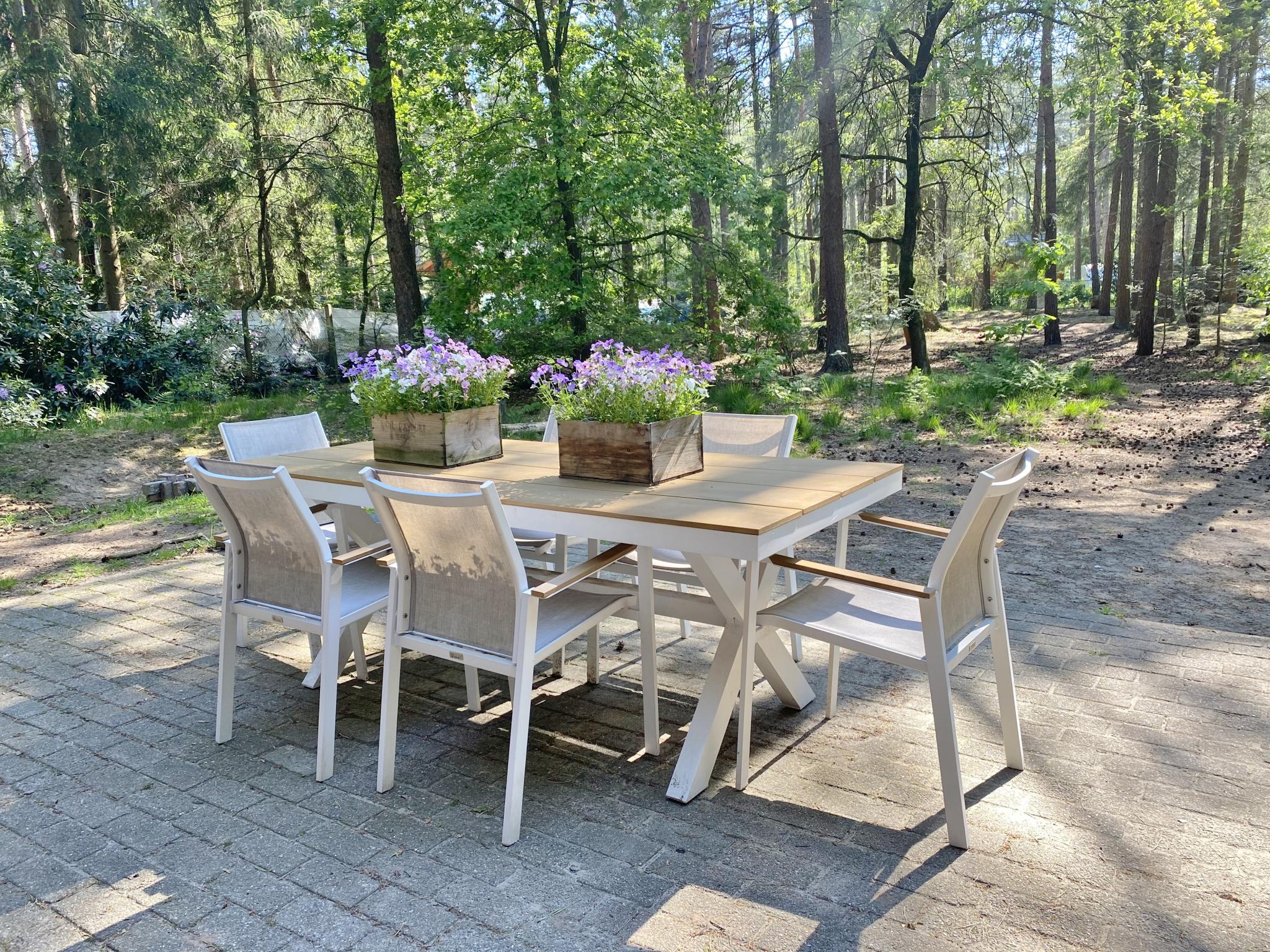 Swimming pool area at Boshuisje in Lille
