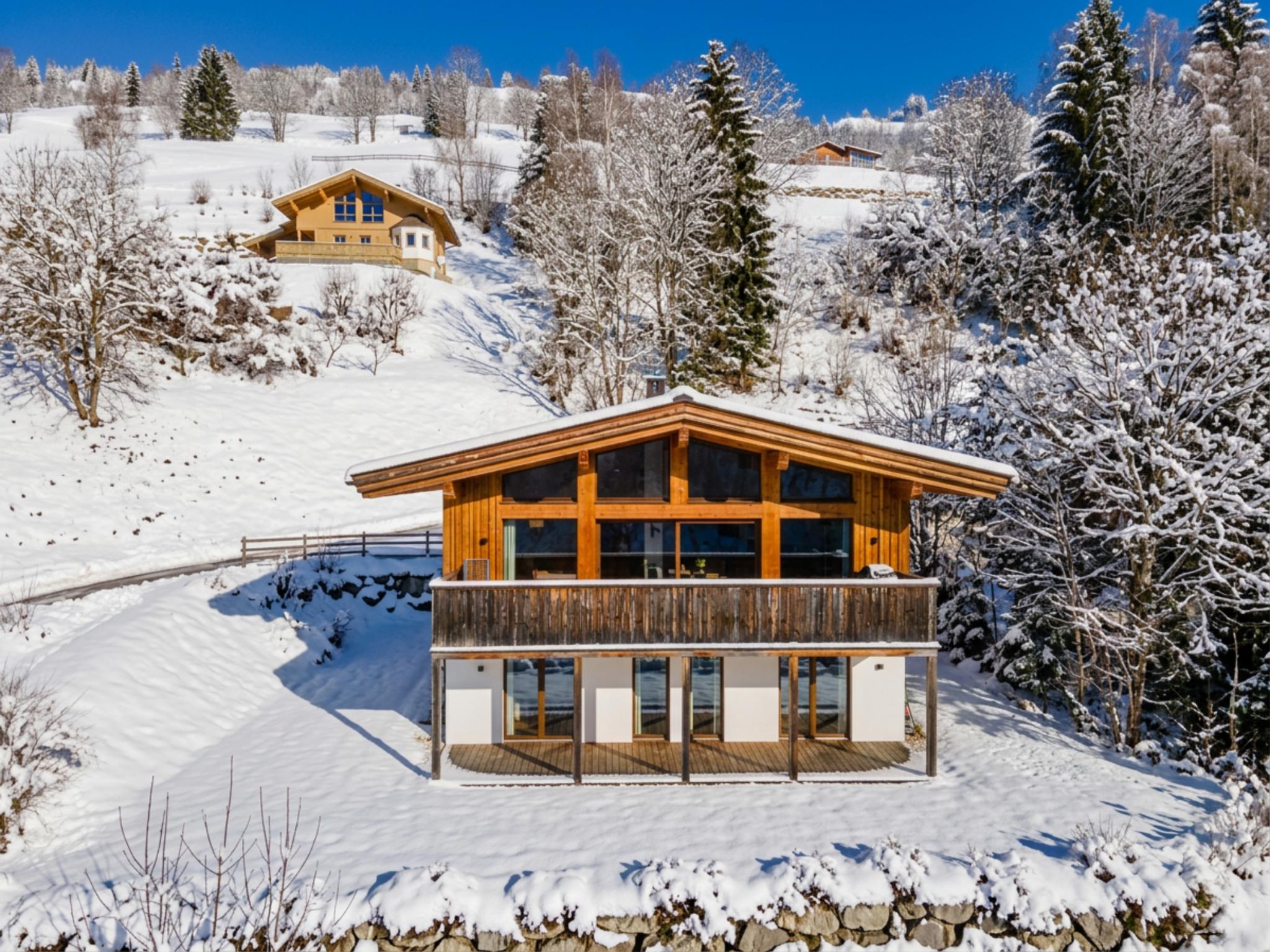 Künstler Chalet Salzburgerland