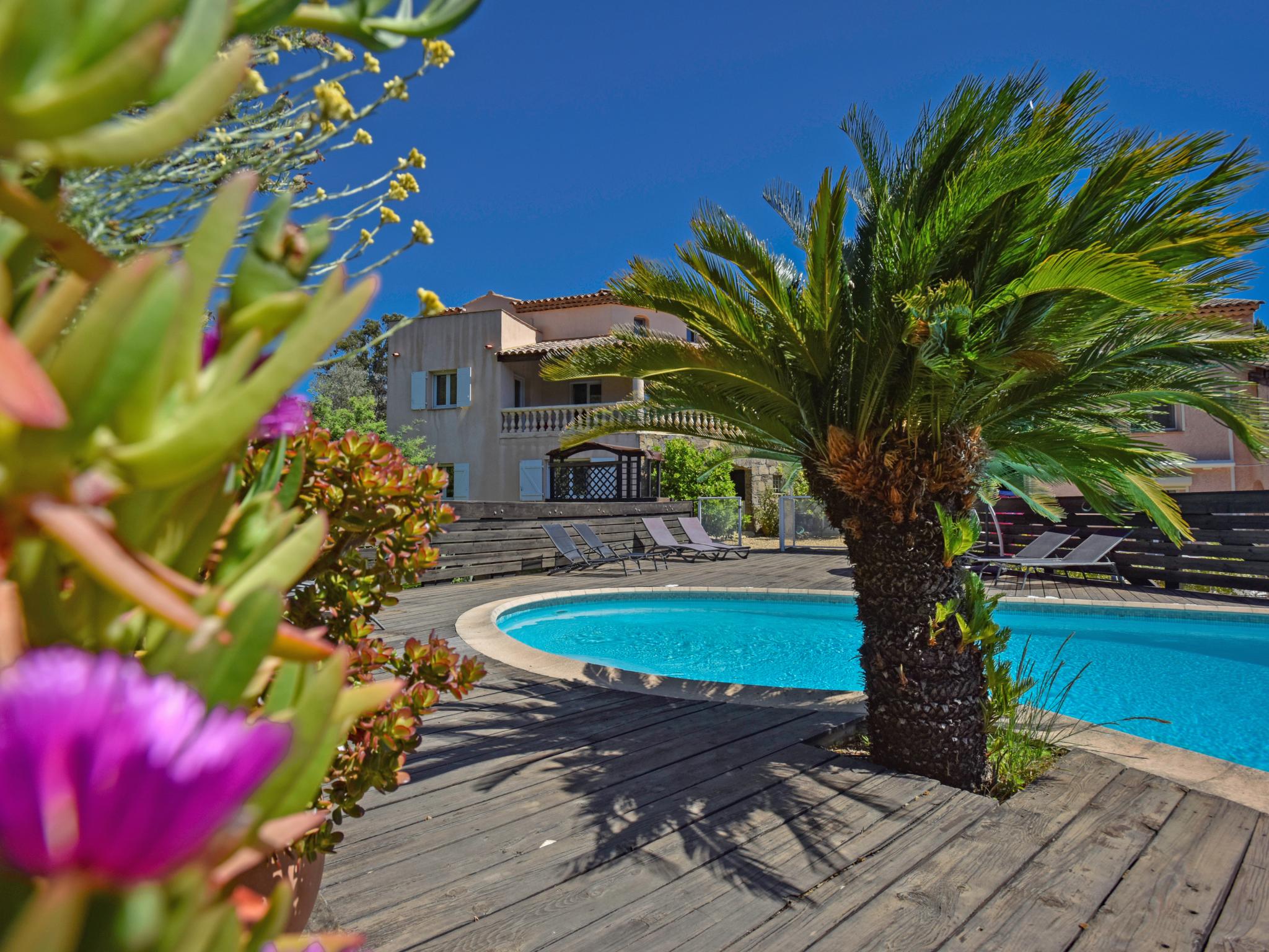 Vue Jardin – afbeelding 4