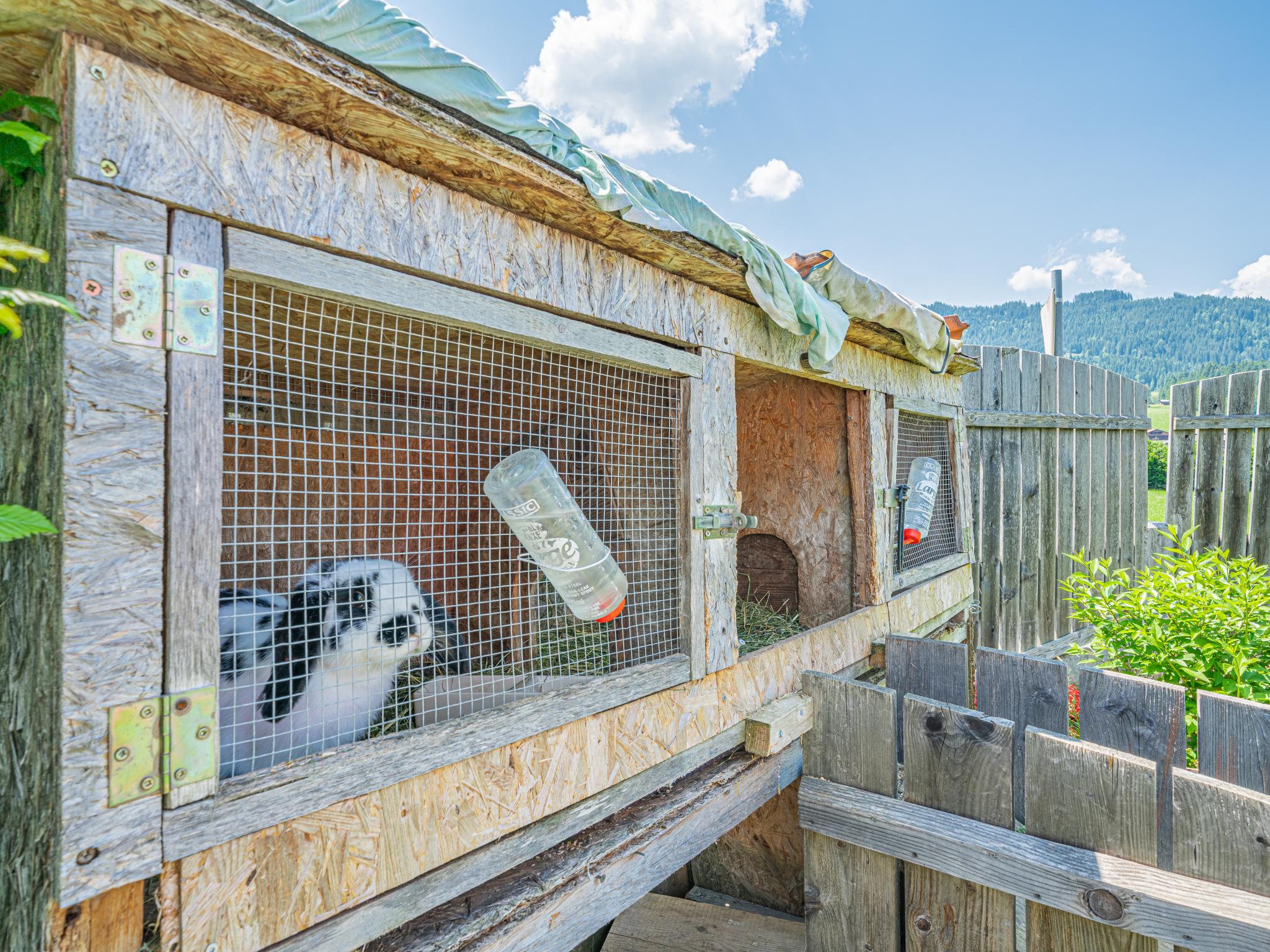 Bedroom with comfortable beds at Haus Sarah in Hopfgarten im Brixental