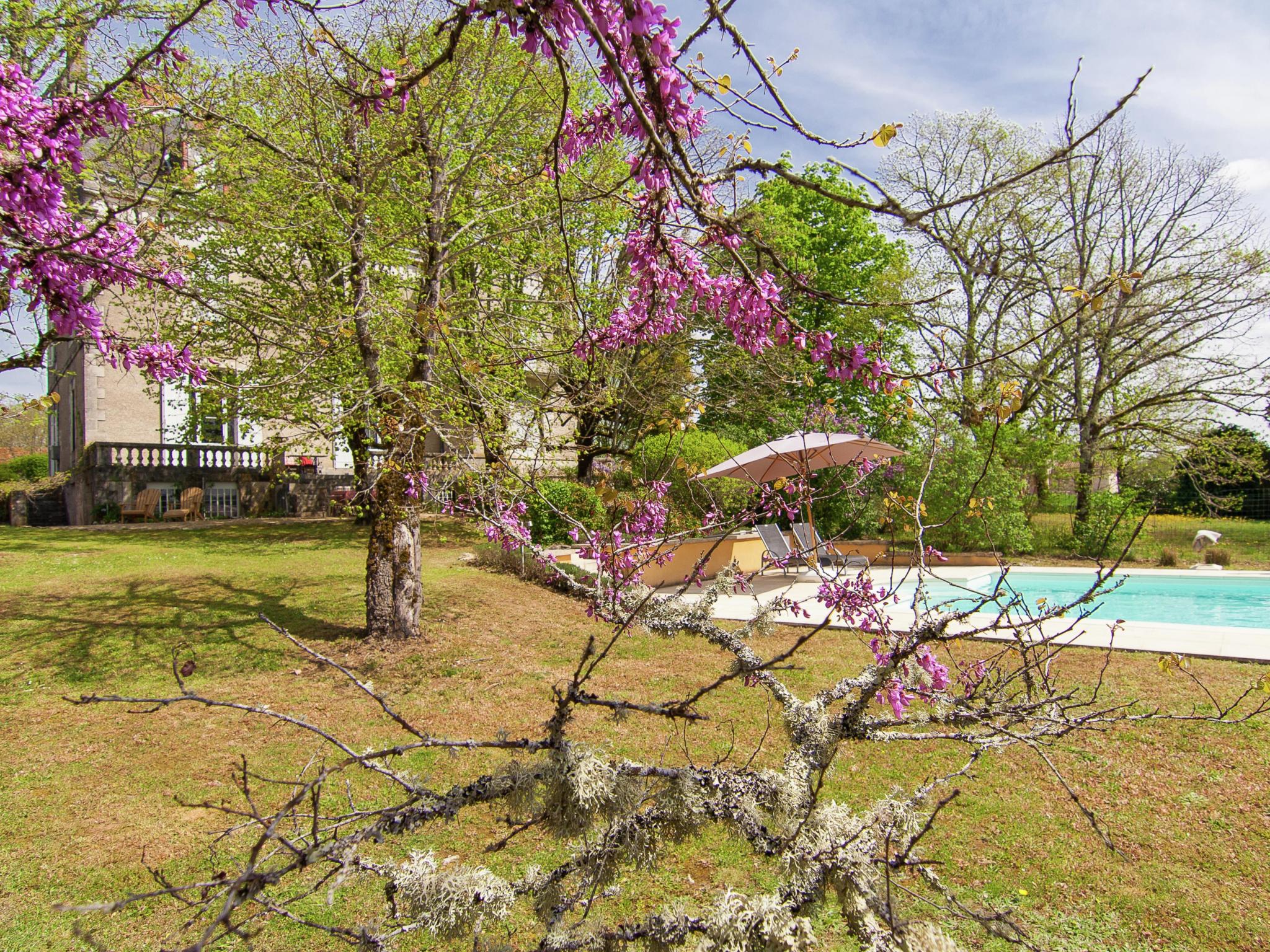 Outdoor terrace and views at Manoir La Peyrade in Brouchaud