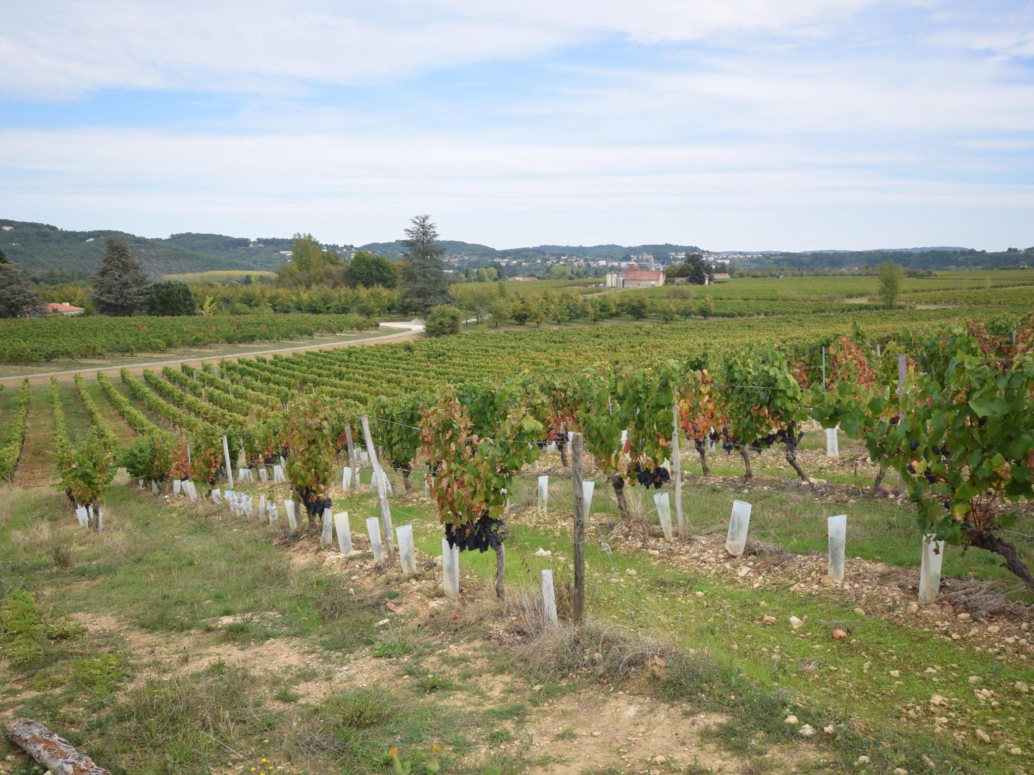 Bathroom facilities at Villa la Fontaine in Vire sur Lot
