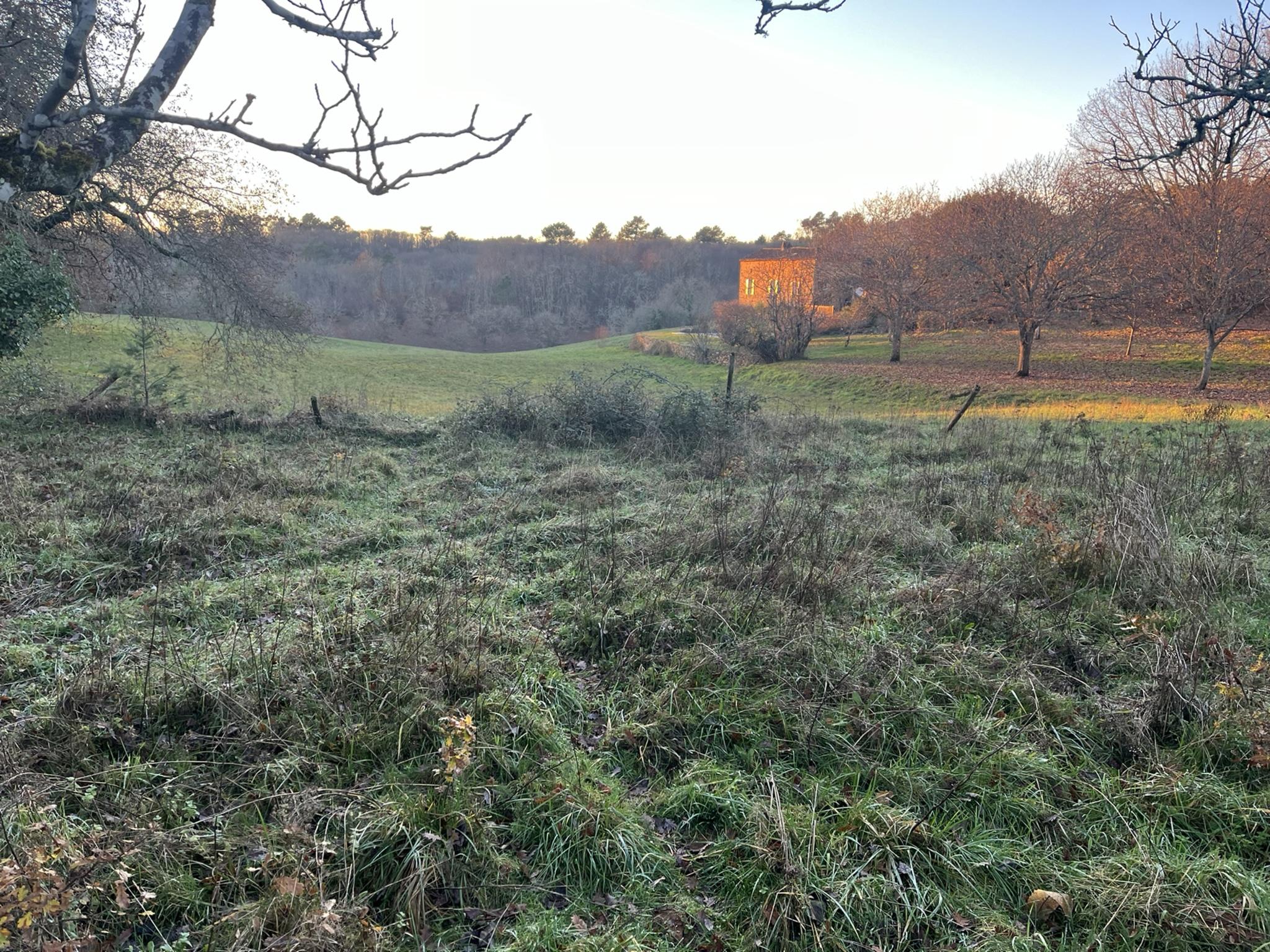 Outdoor terrace and views at Maison Sauveterre in Sauveterre-la-Lémance