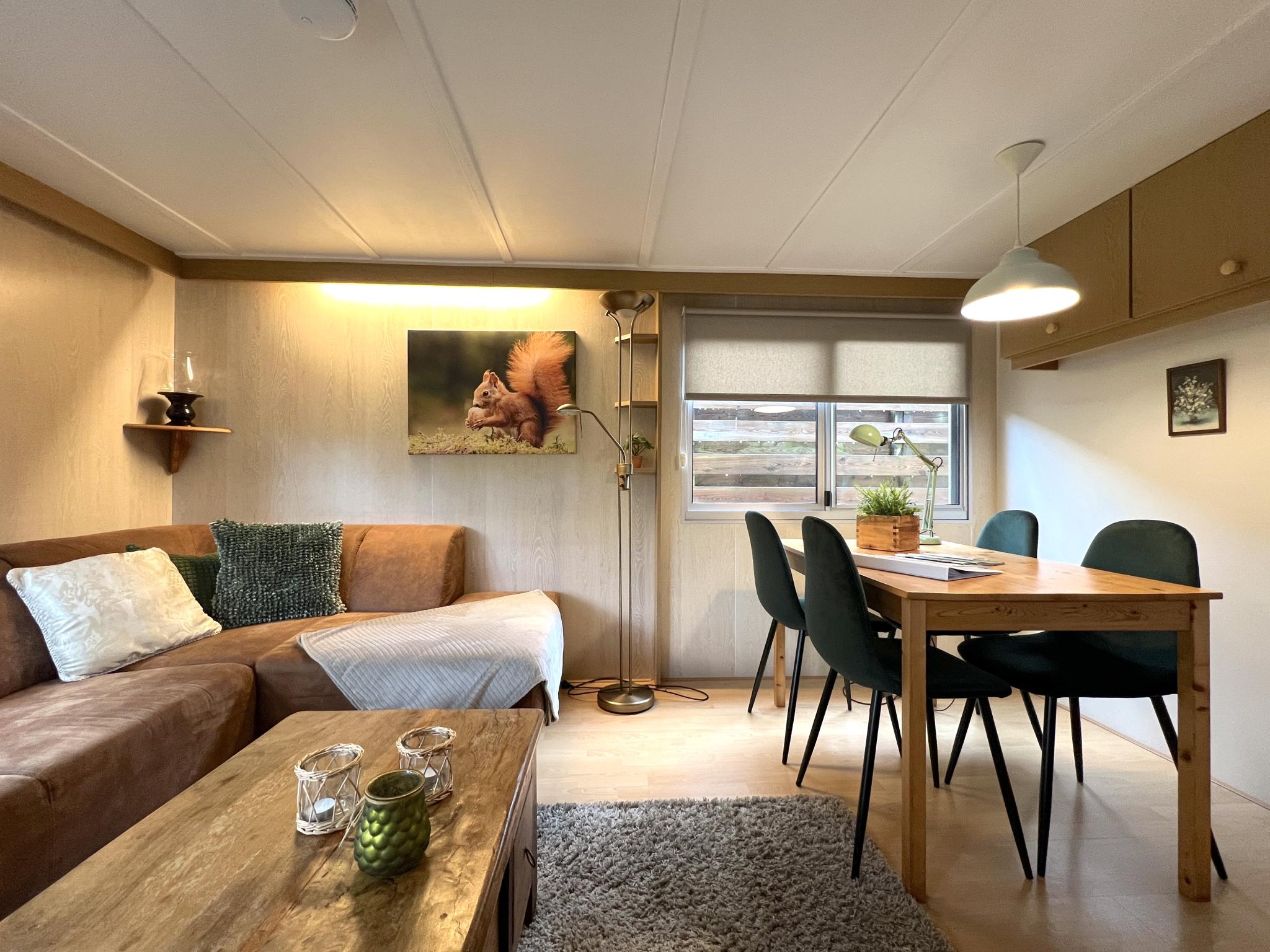 Swimming pool area at Eekhoorn in Hulshorst