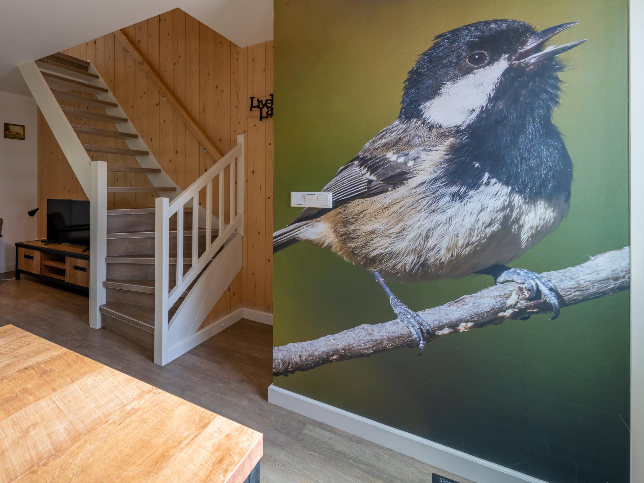 Outdoor terrace and views at Zwarte Mees in Hulshorst
