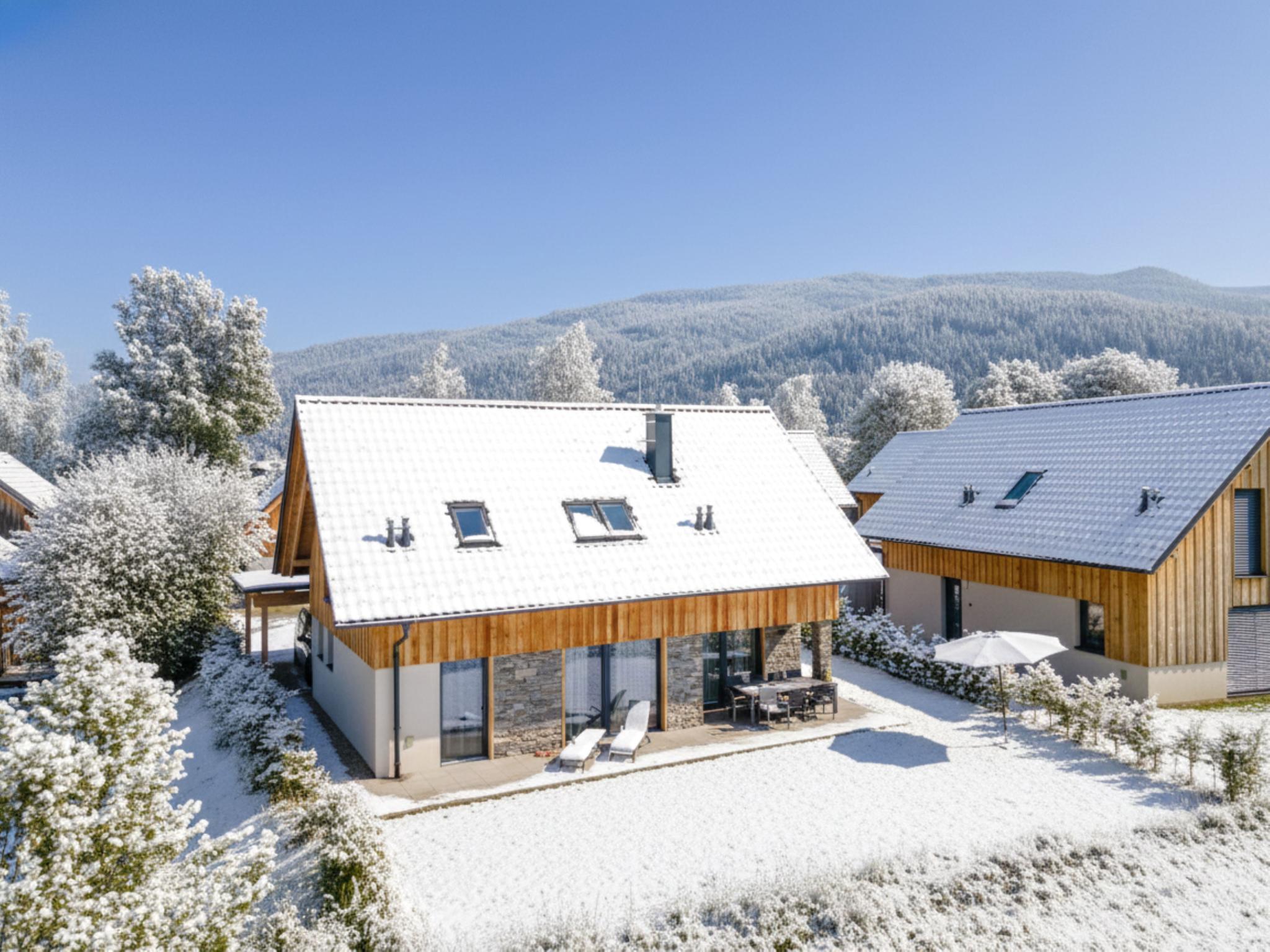 Mountain Chalet Alpinchique