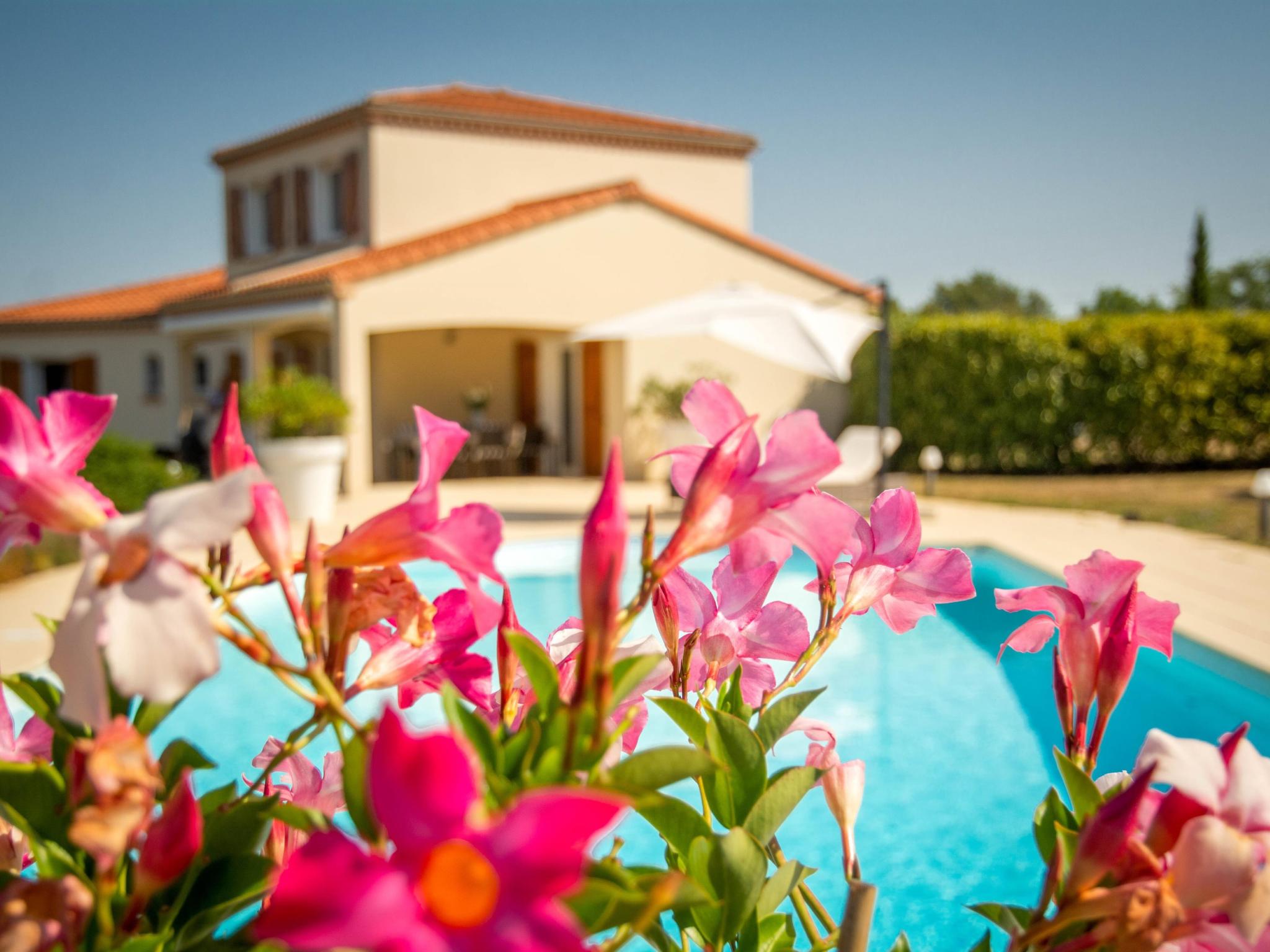 Living area at Les Graves in Saint Pierre Lafeuille