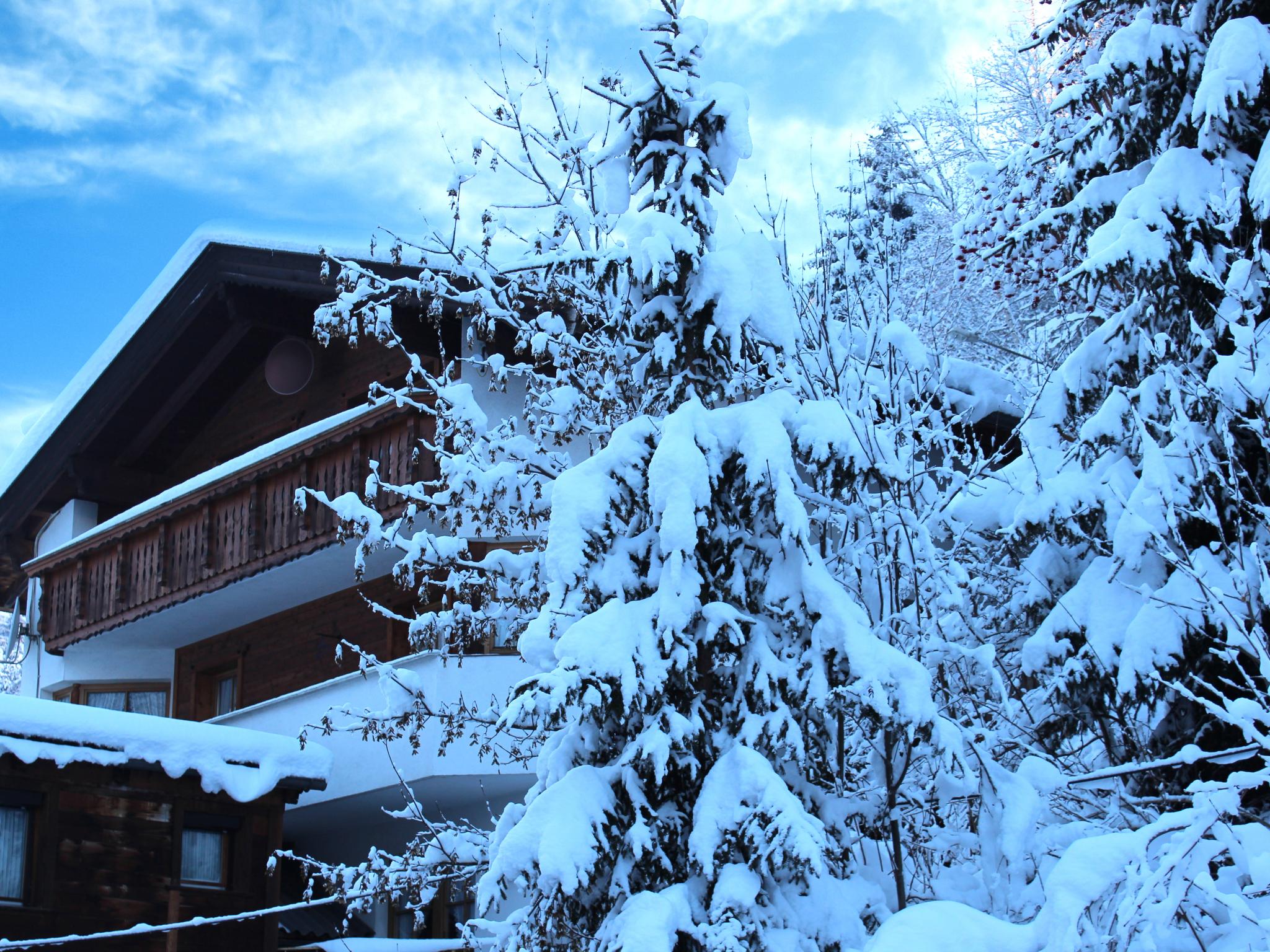 Ferienhaus Dias Tirol