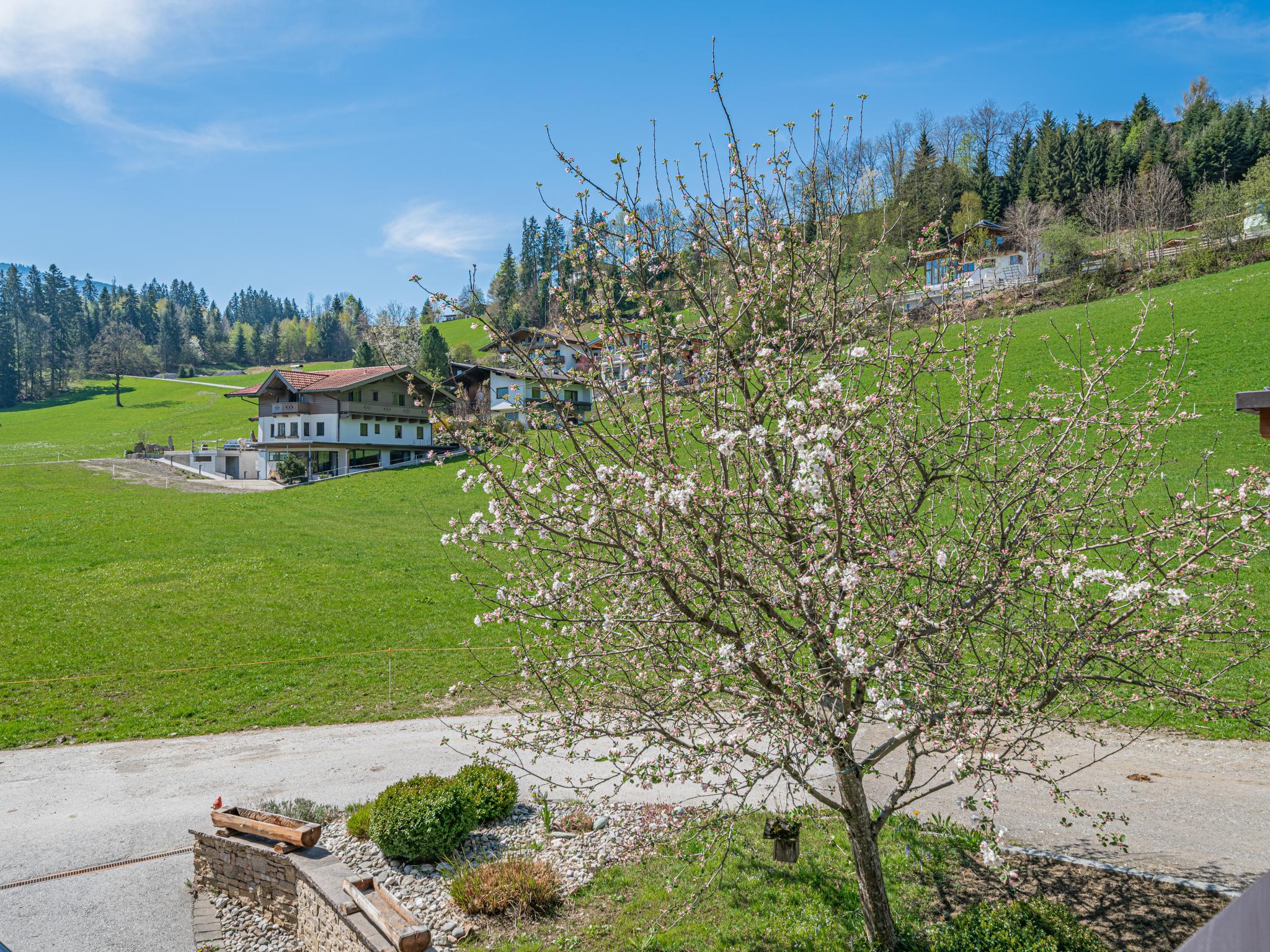 Outdoor terrace and views at Hohe Salve L in Hopfgarten im Brixental