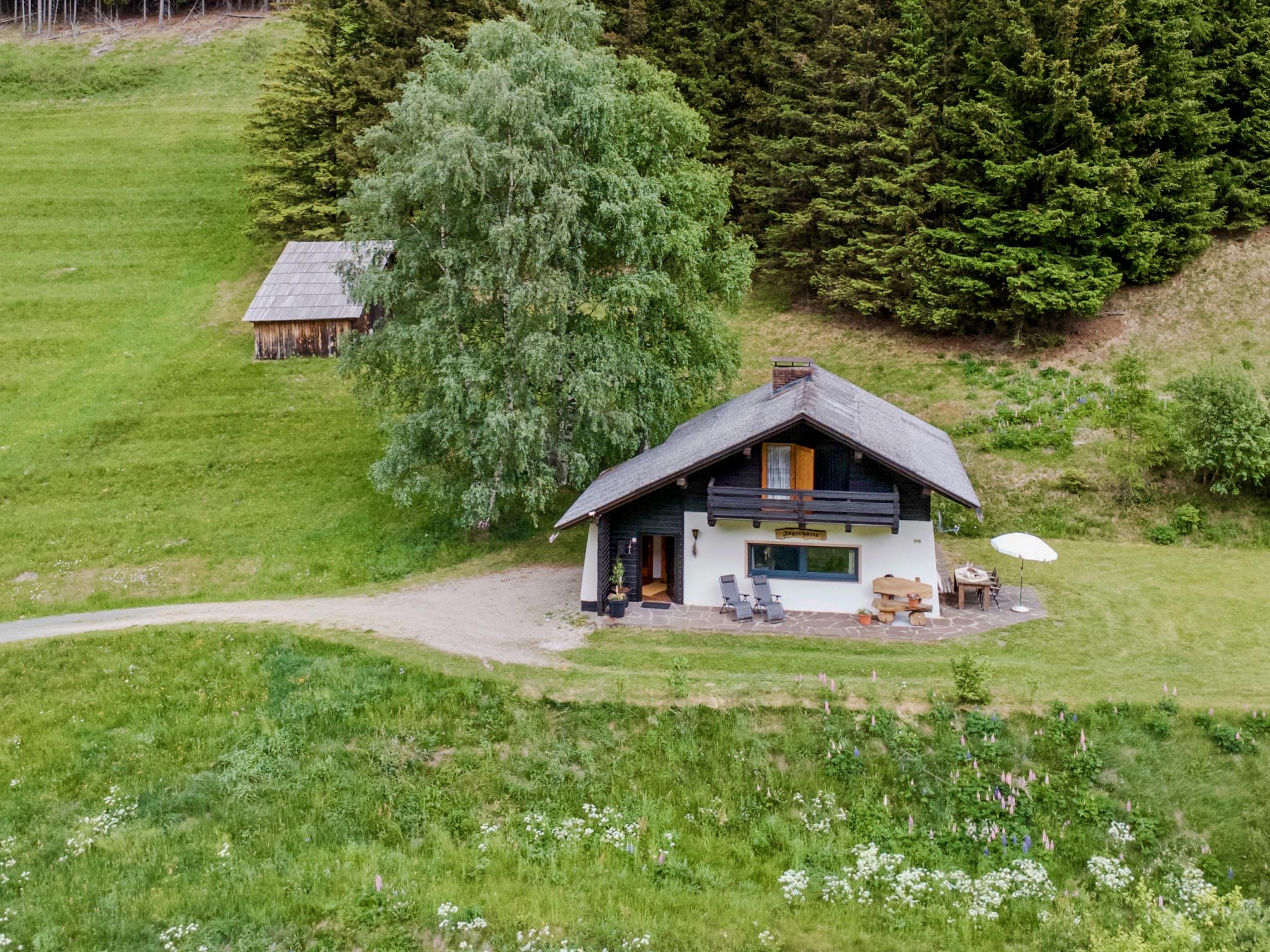 Jagerhütte Karinthië