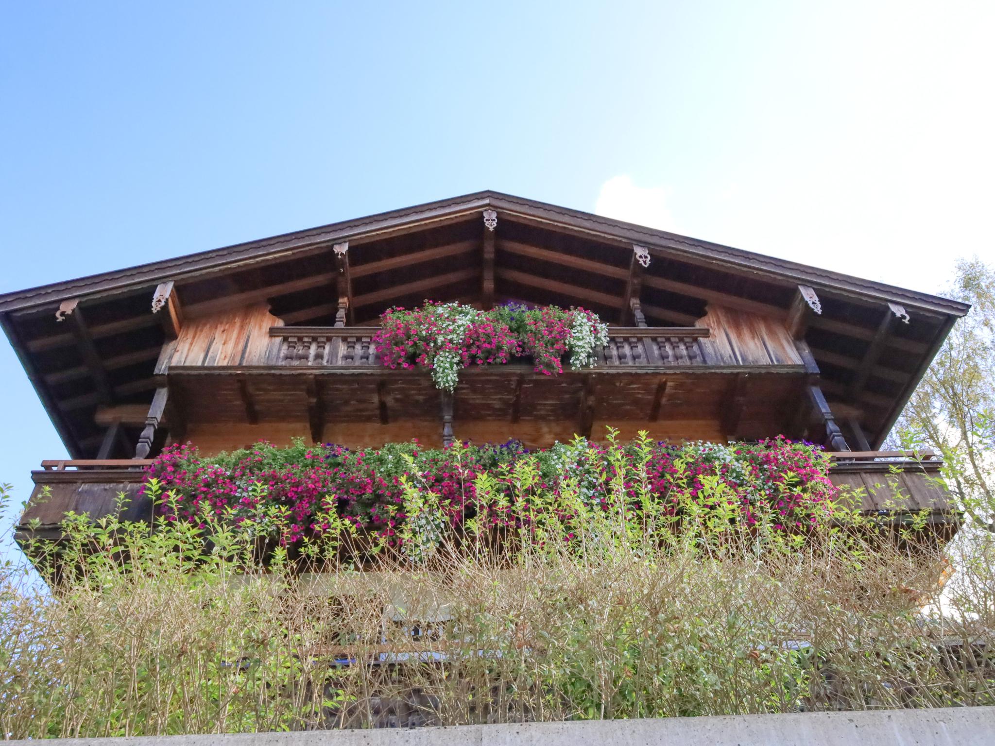 Modern kitchen at Birkheim in Alpbach