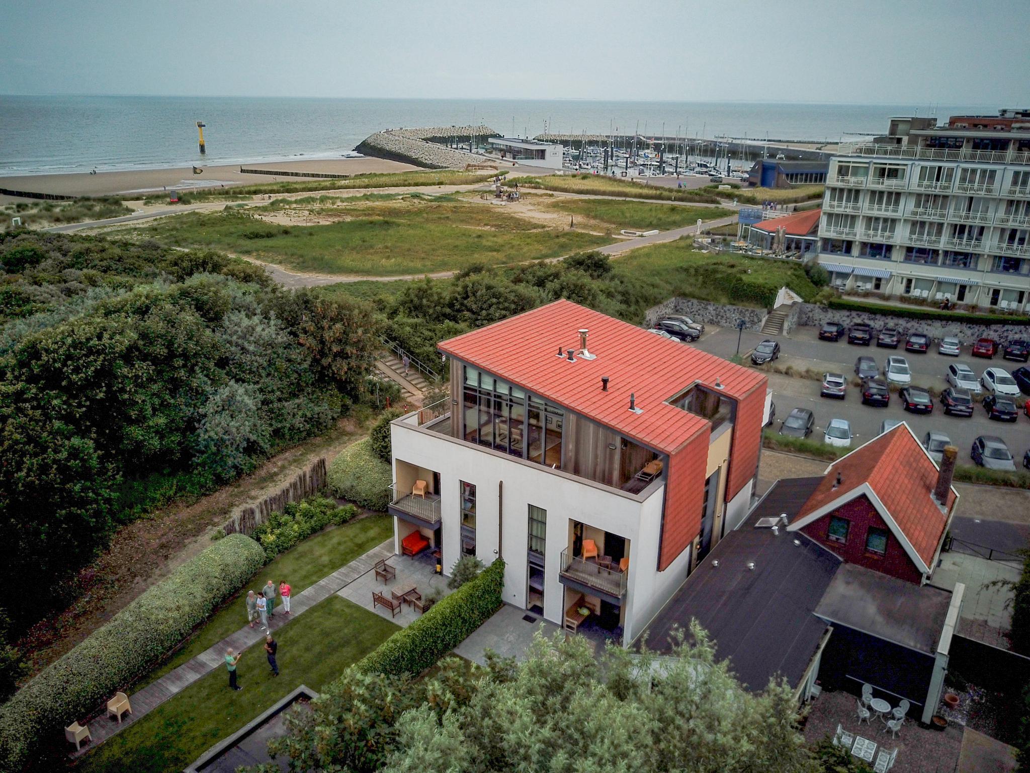 Goudvis – afbeelding 2