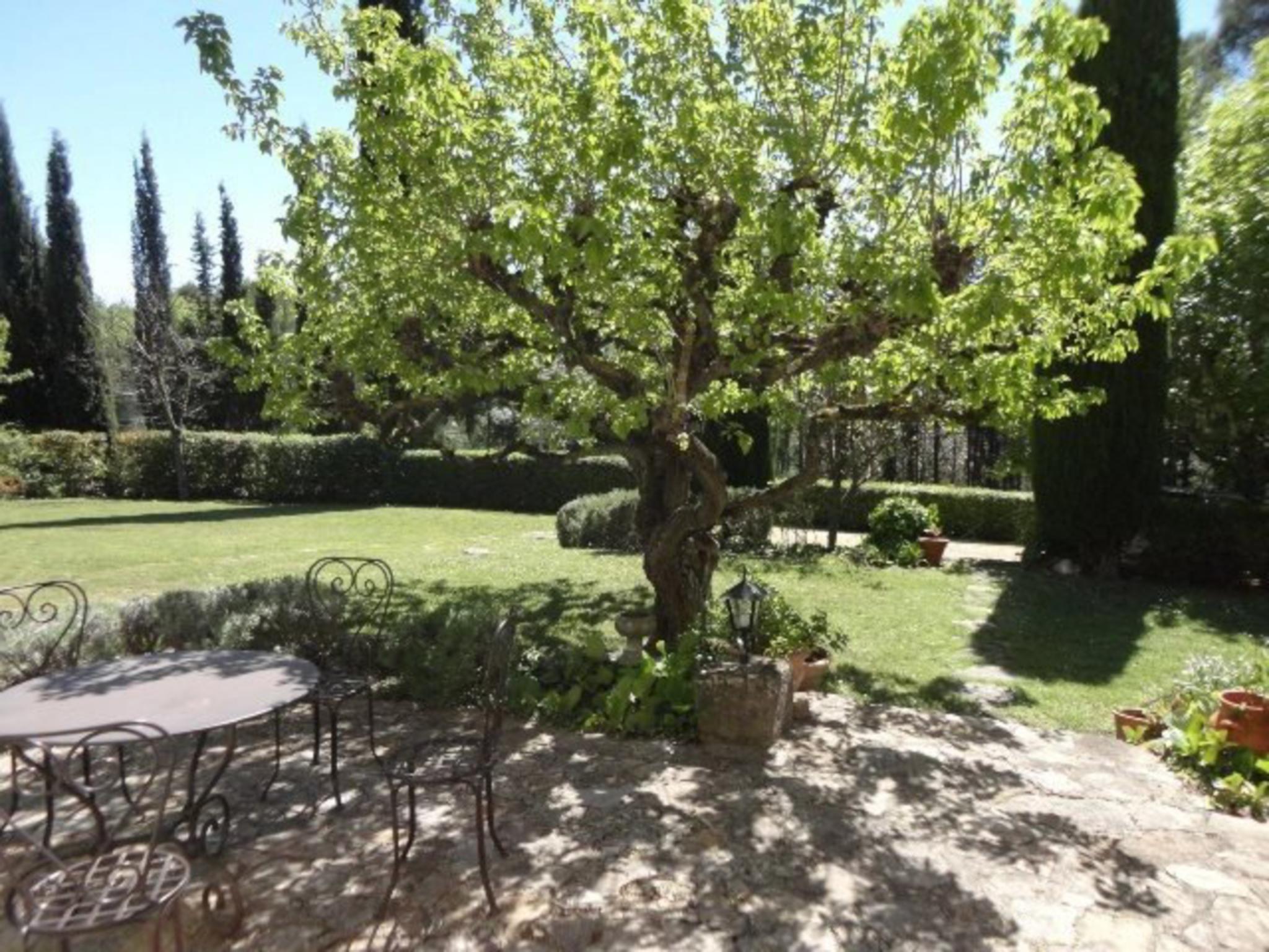 Swimming pool area at Le Mas dormant in Fayence