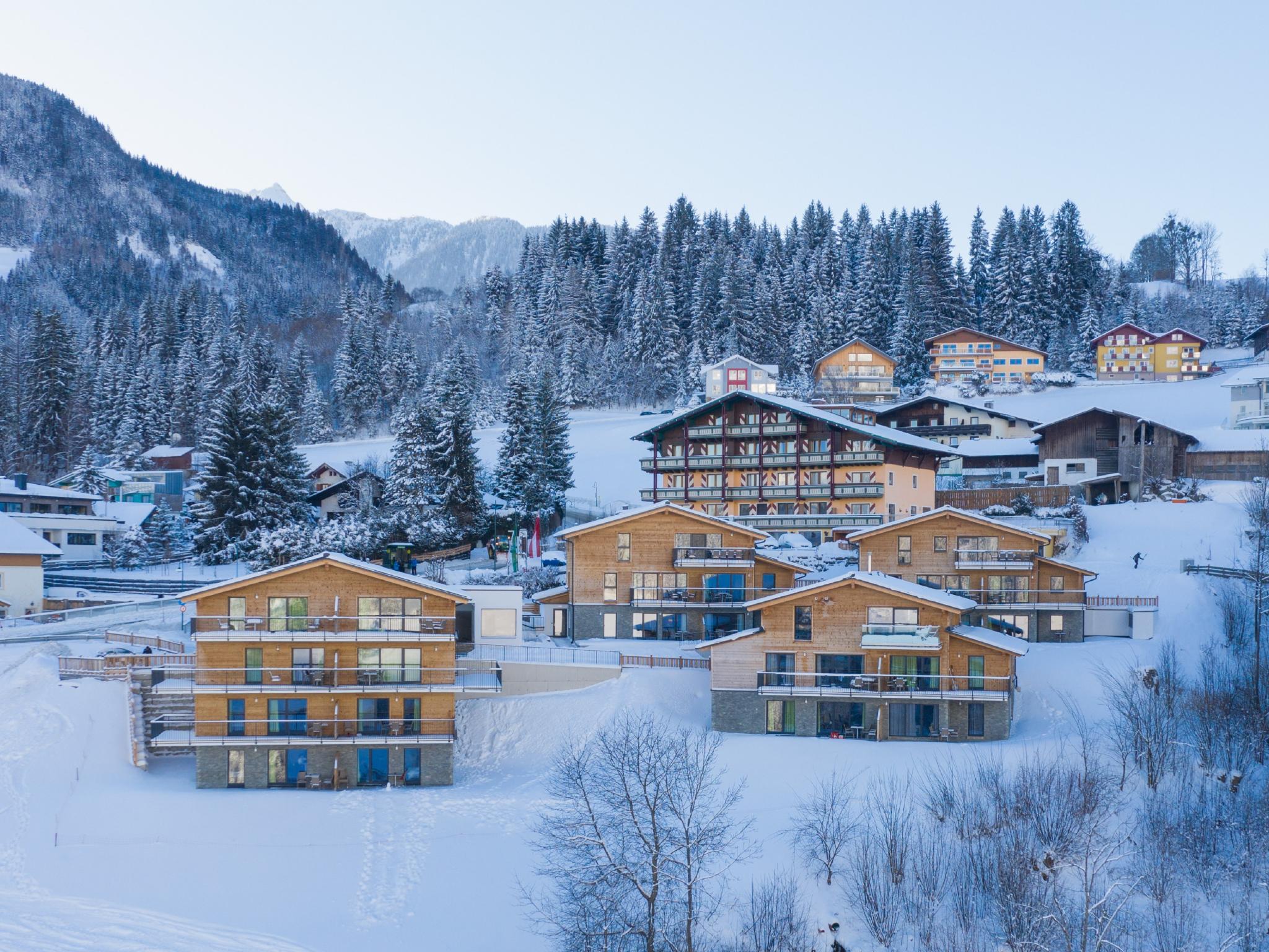 Panorama Peaks - appartement in Schladming - voor wintersport
