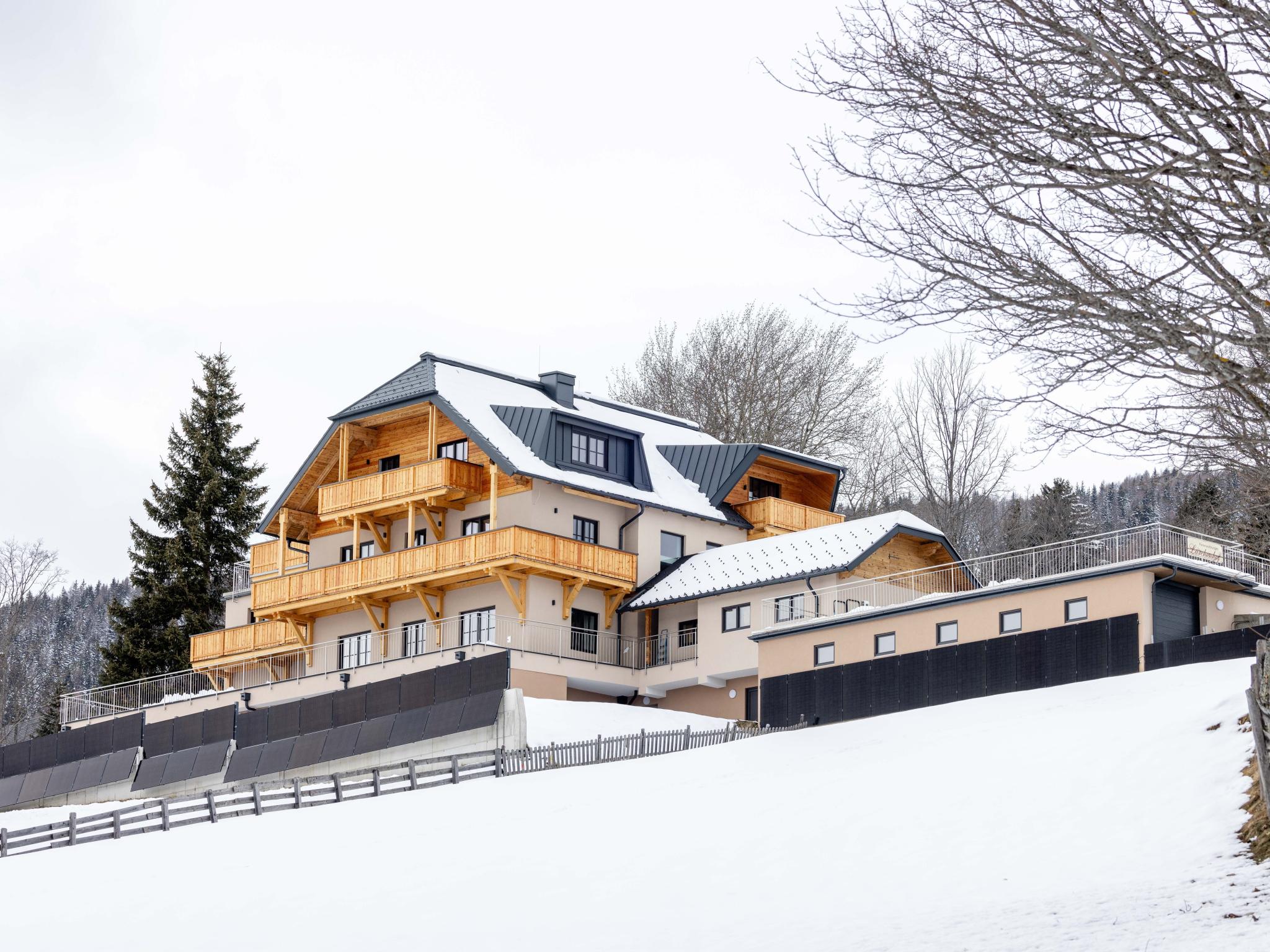 Lärchenhof - appartement in Mauterndorf - voor wintersport