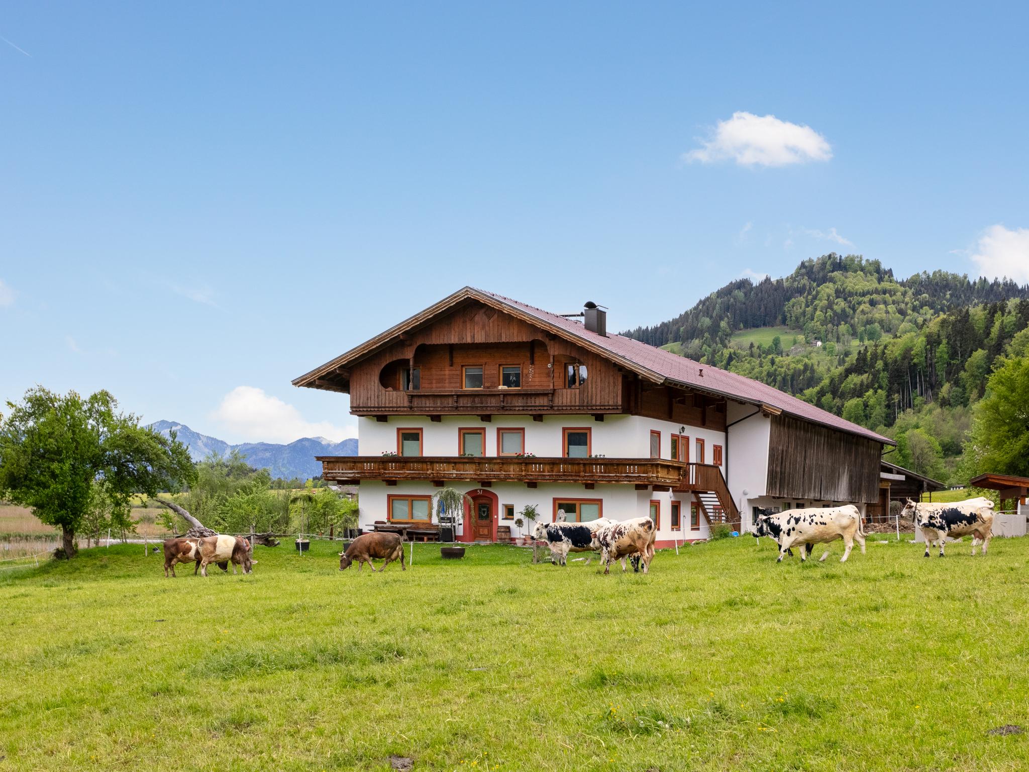 Living area at Marschbachhof in Walchsee