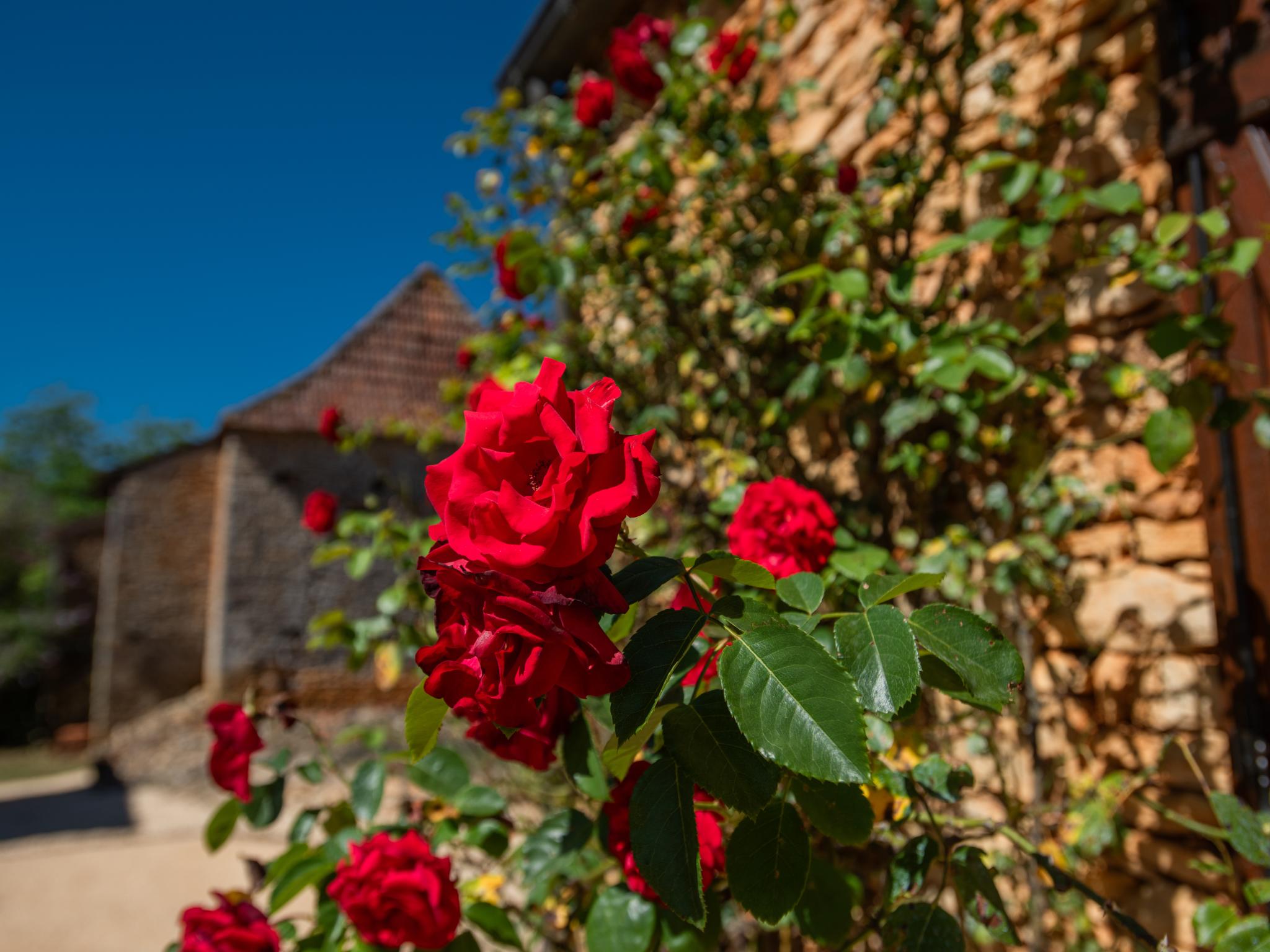 Beauchamps foto 19