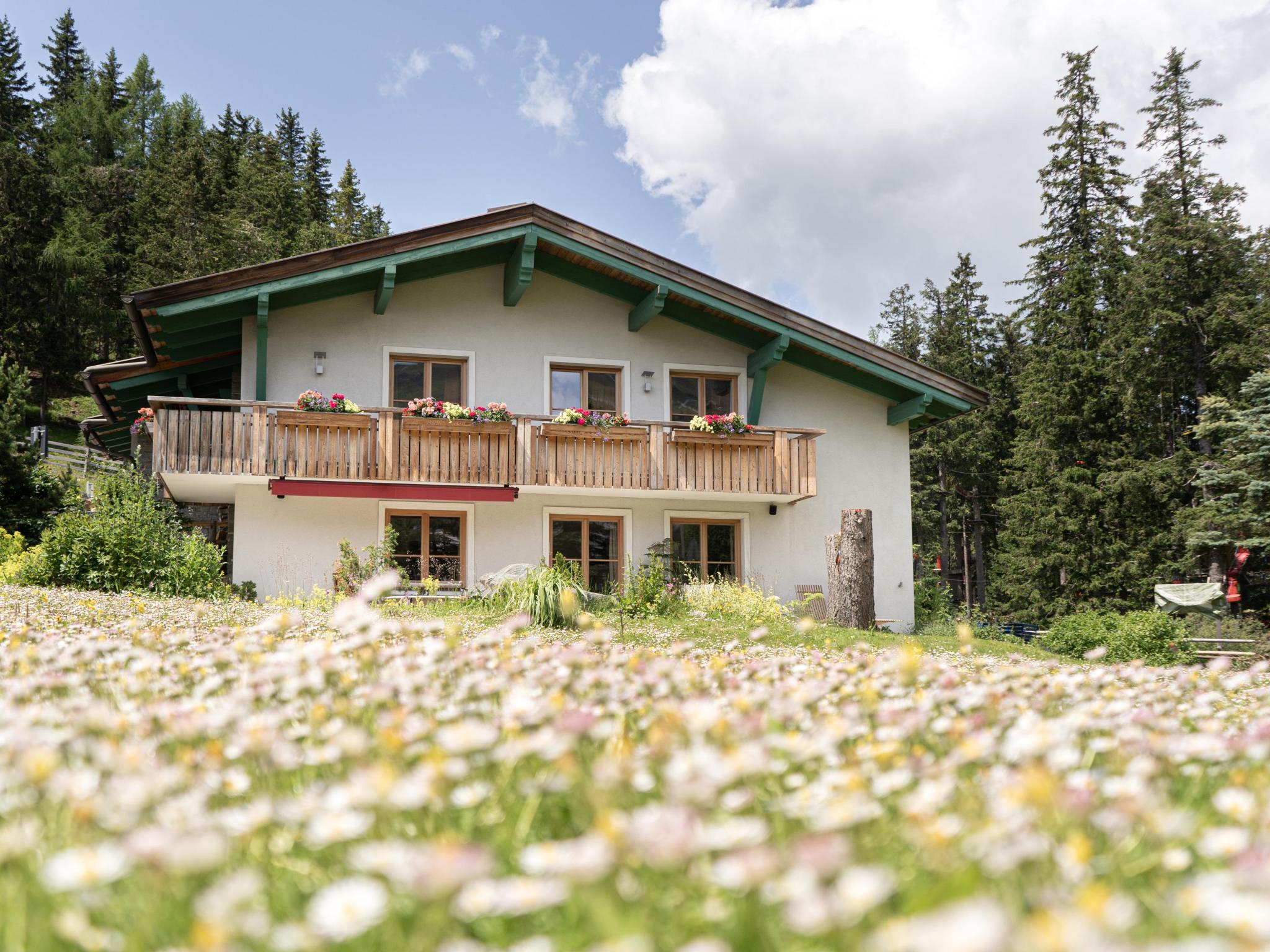 Katschberg 8 Karinthië