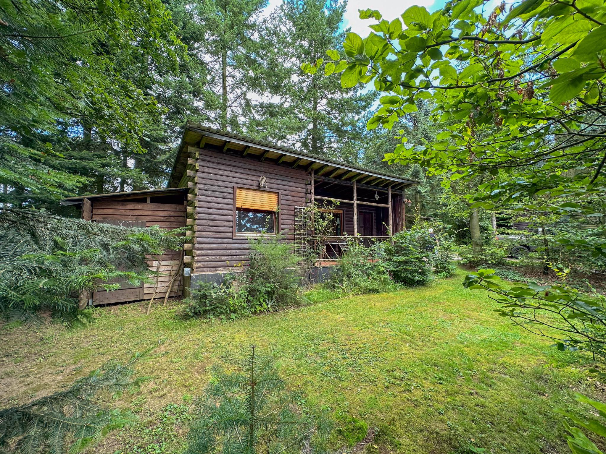 Living area at Wood Cabin in Brandscheid