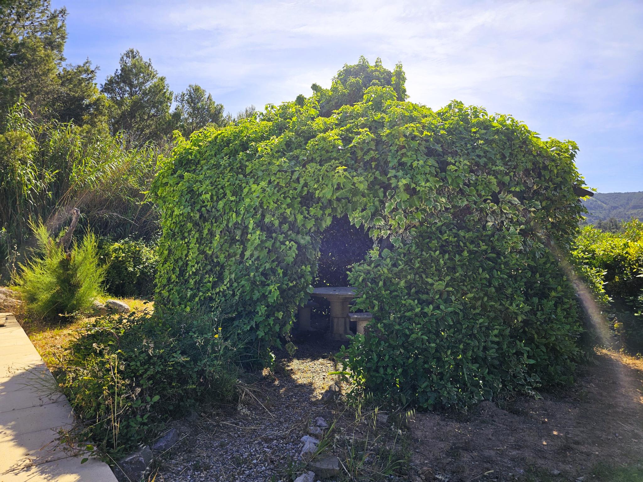 Les Hirondelles foto 16