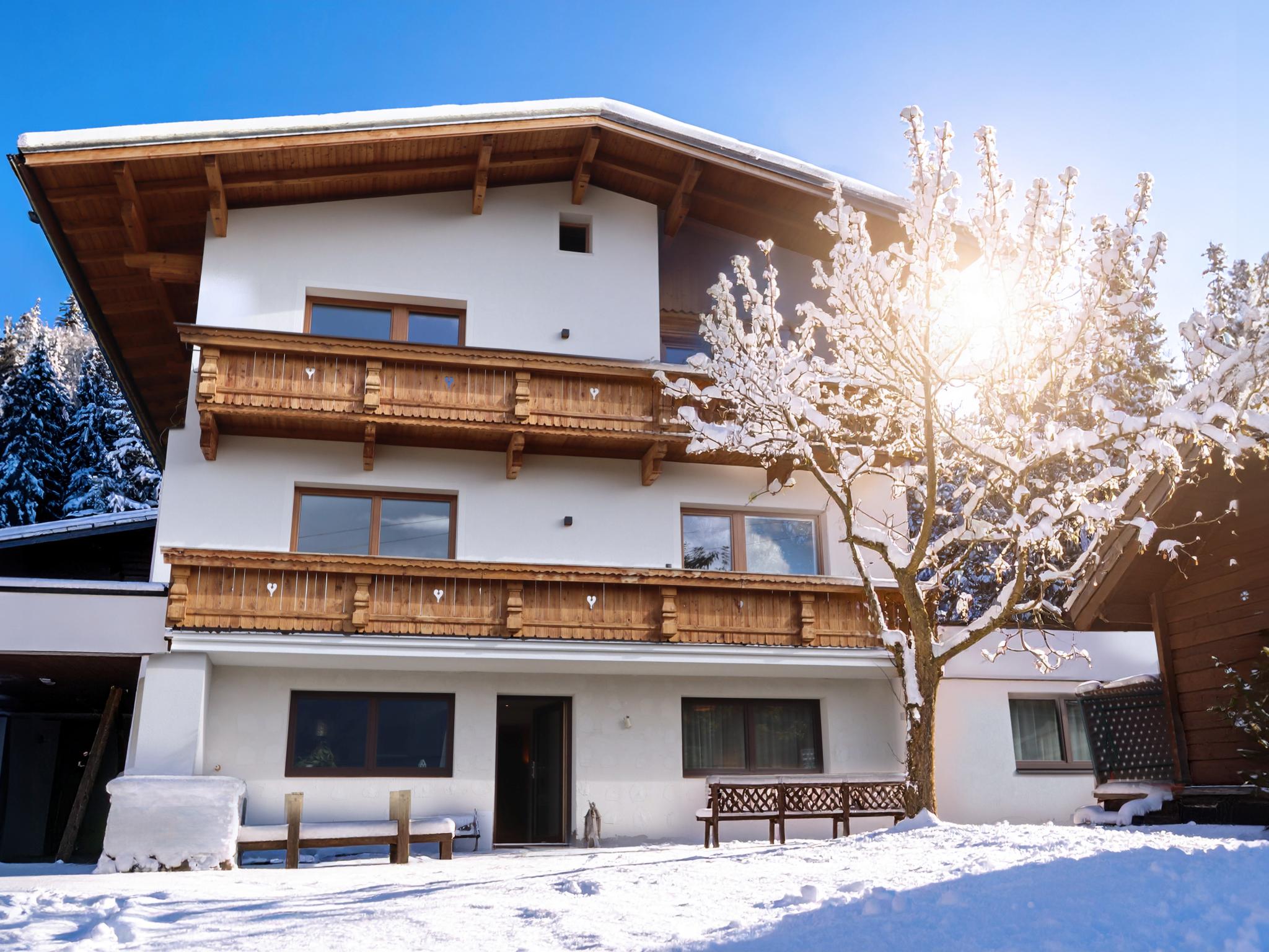 Apartment Hollaus Tirol