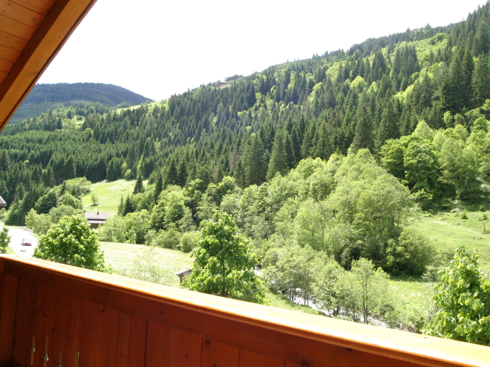 Fintinn foto 9
