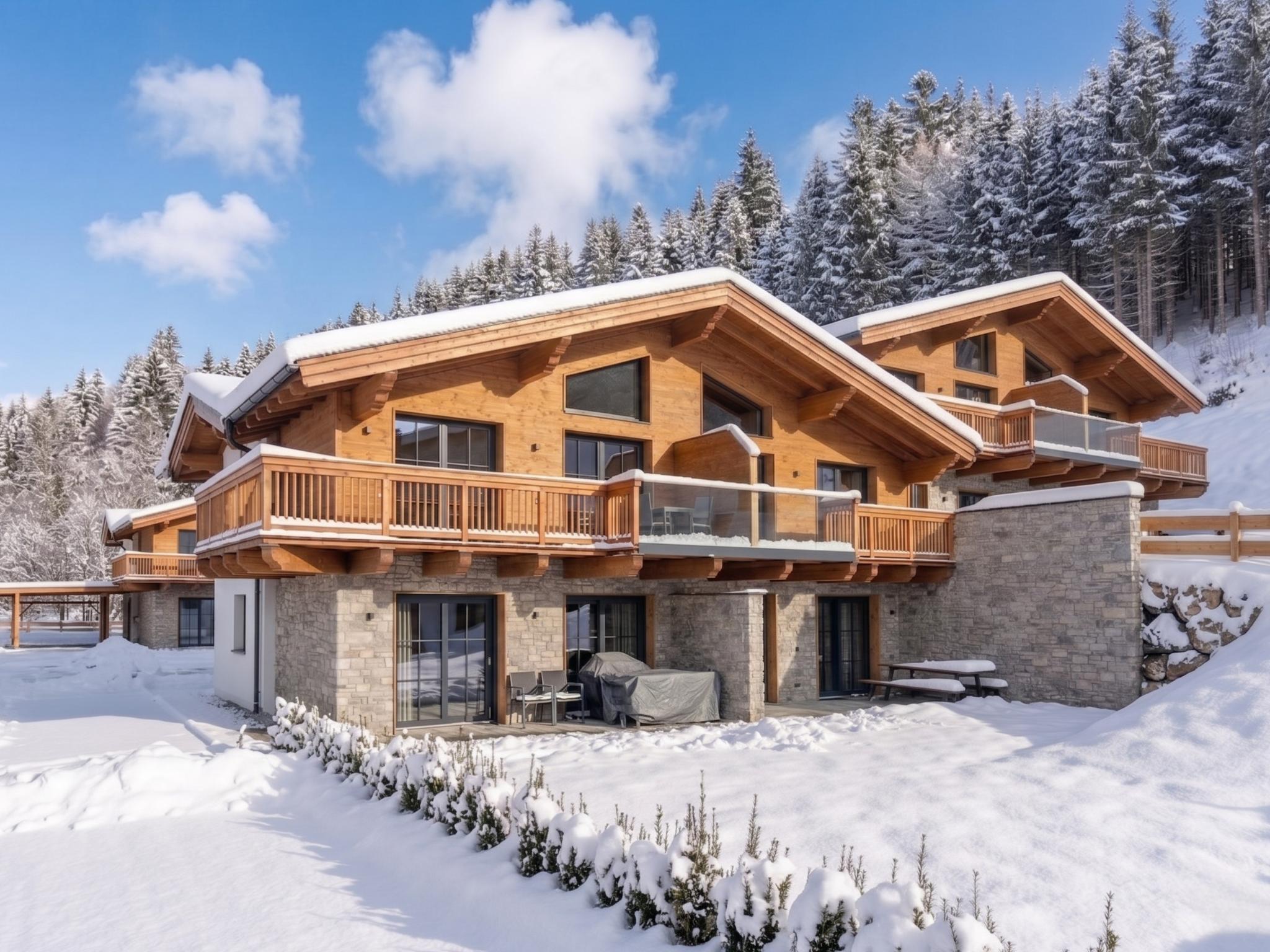 Tauernlodge Eben D1 Salzburgerland