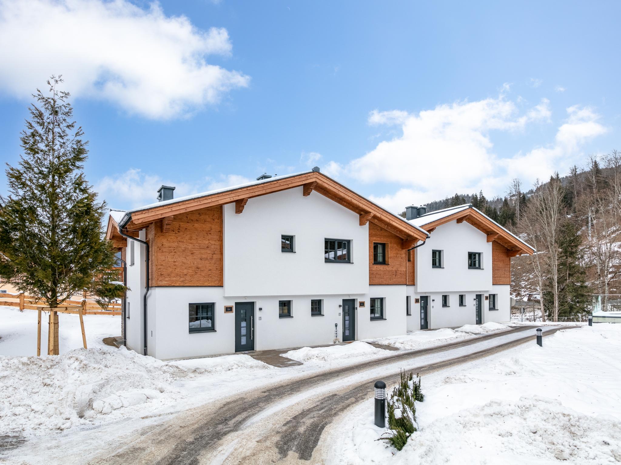 Modern kitchen at Tauernlodge Amadeiro Im Pongau in Eben im Pongau