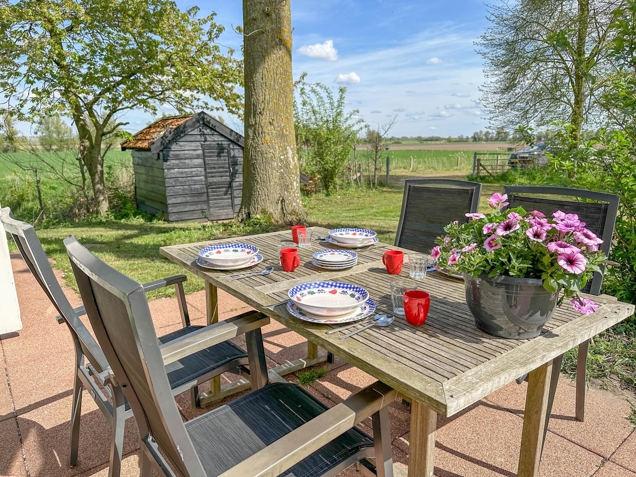 Outdoor terrace and views at Biesboschhuisje in Hooge Zwaluwe