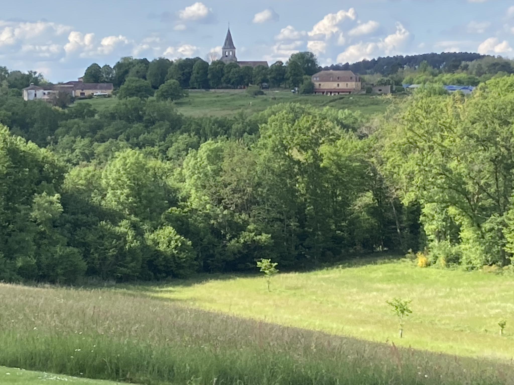 Modern kitchen at Maison des Yourtes in Loubejac