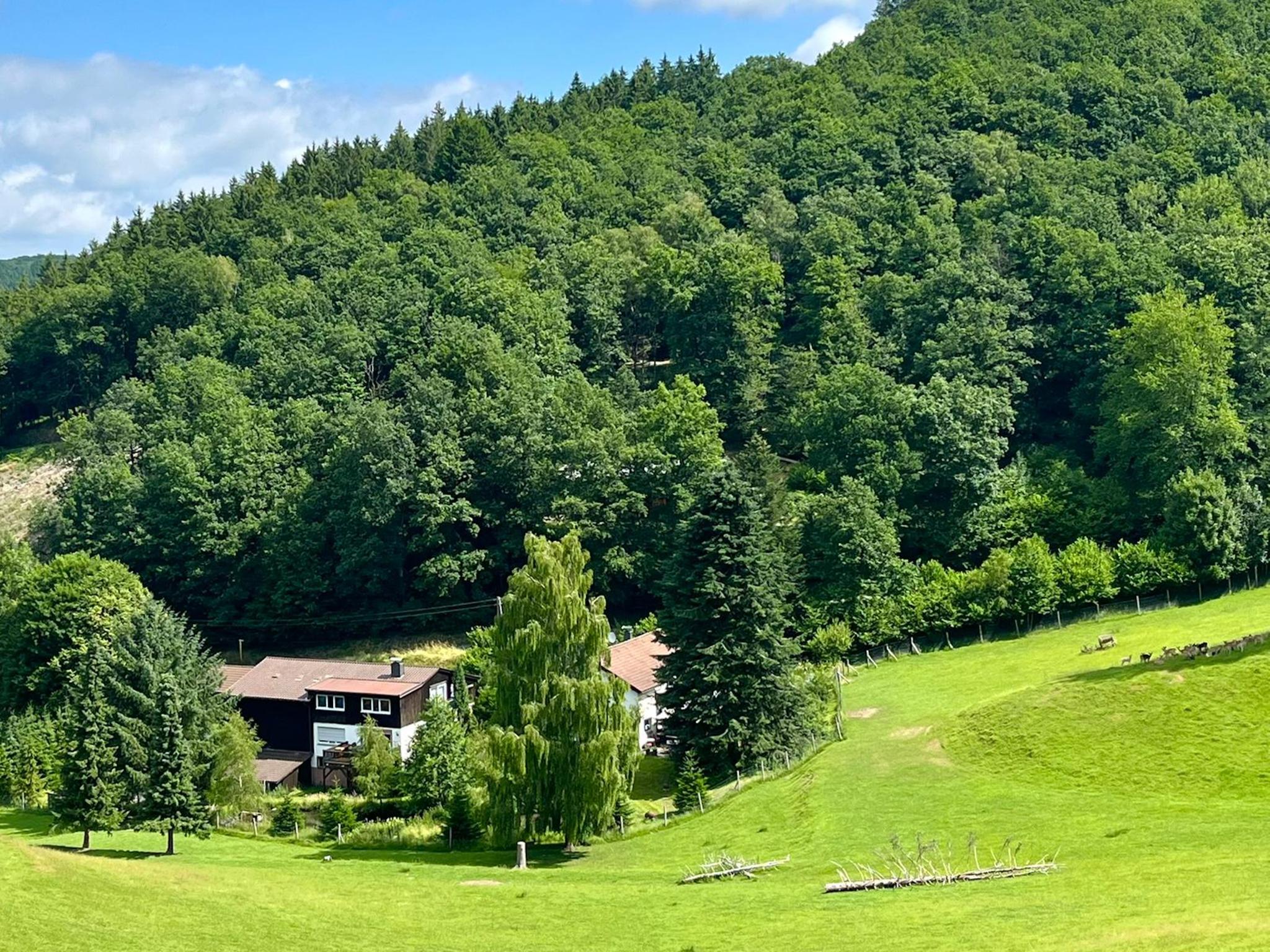 Living area at Am Damwildgehege I in Lennestadt