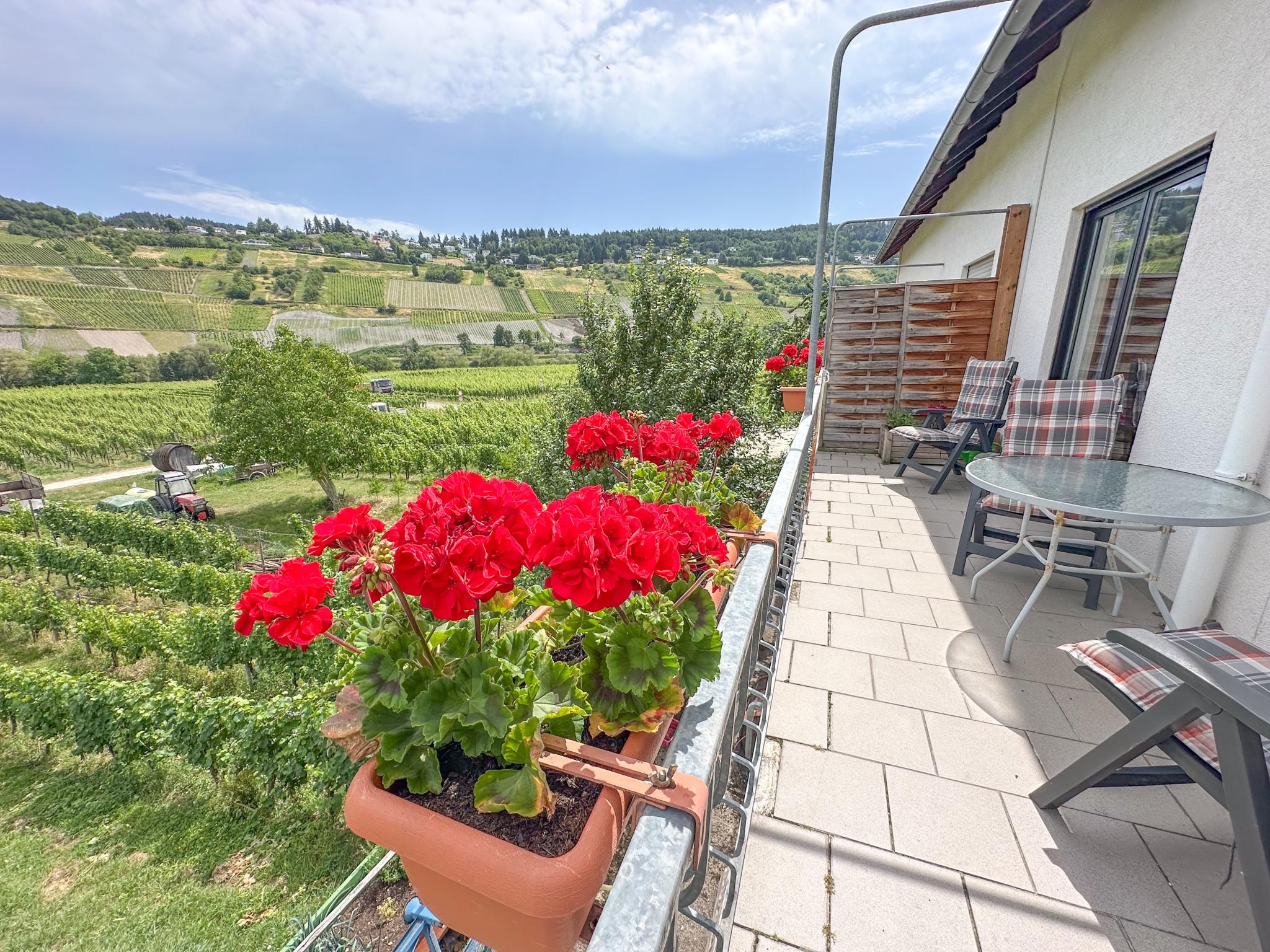 Modern kitchen at Hermes-Lex Weingut in Trittenheim