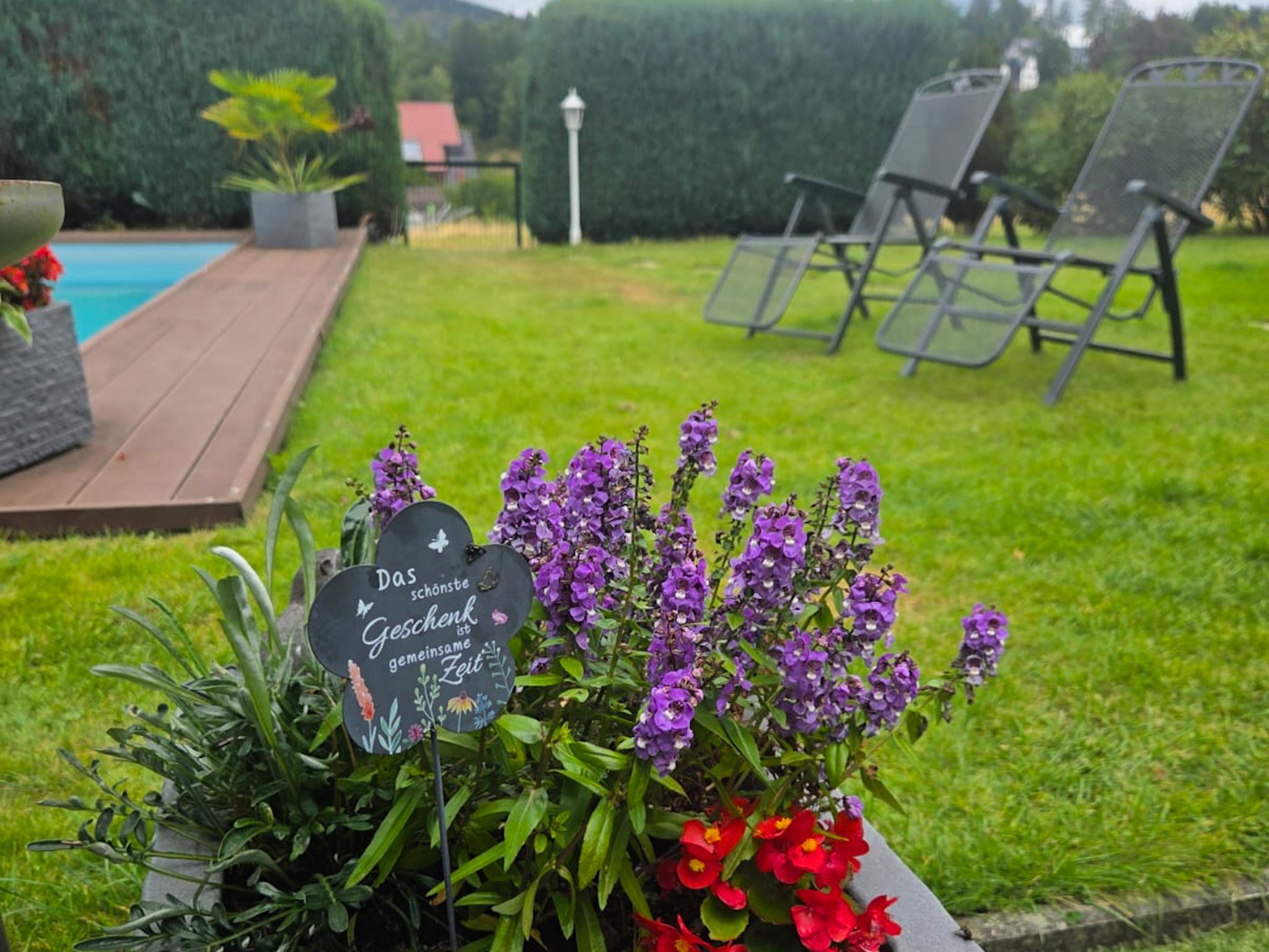 Swimming pool area at Alice in Großbreitenbach