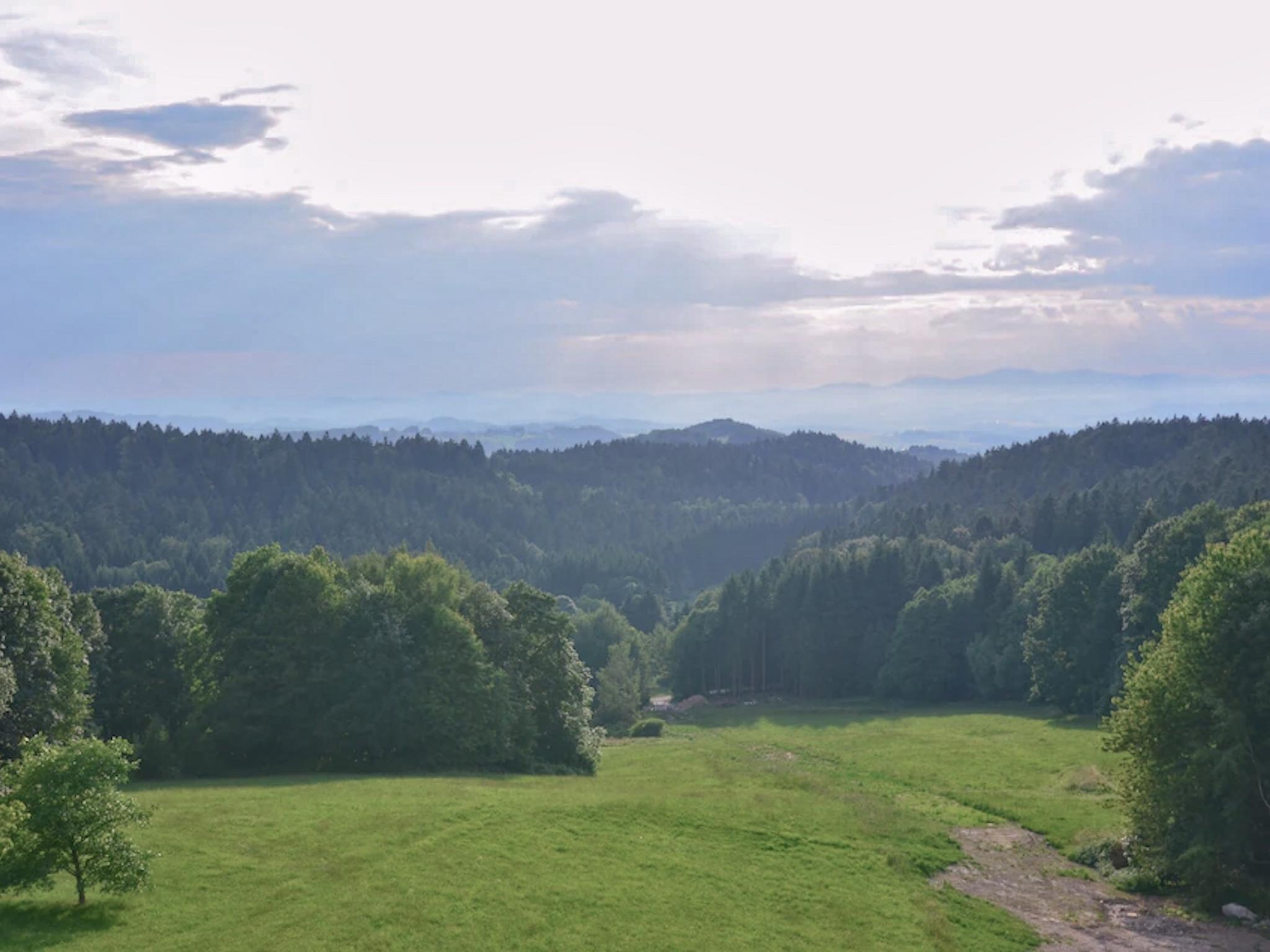 Living area at Hans in Waldkirchen