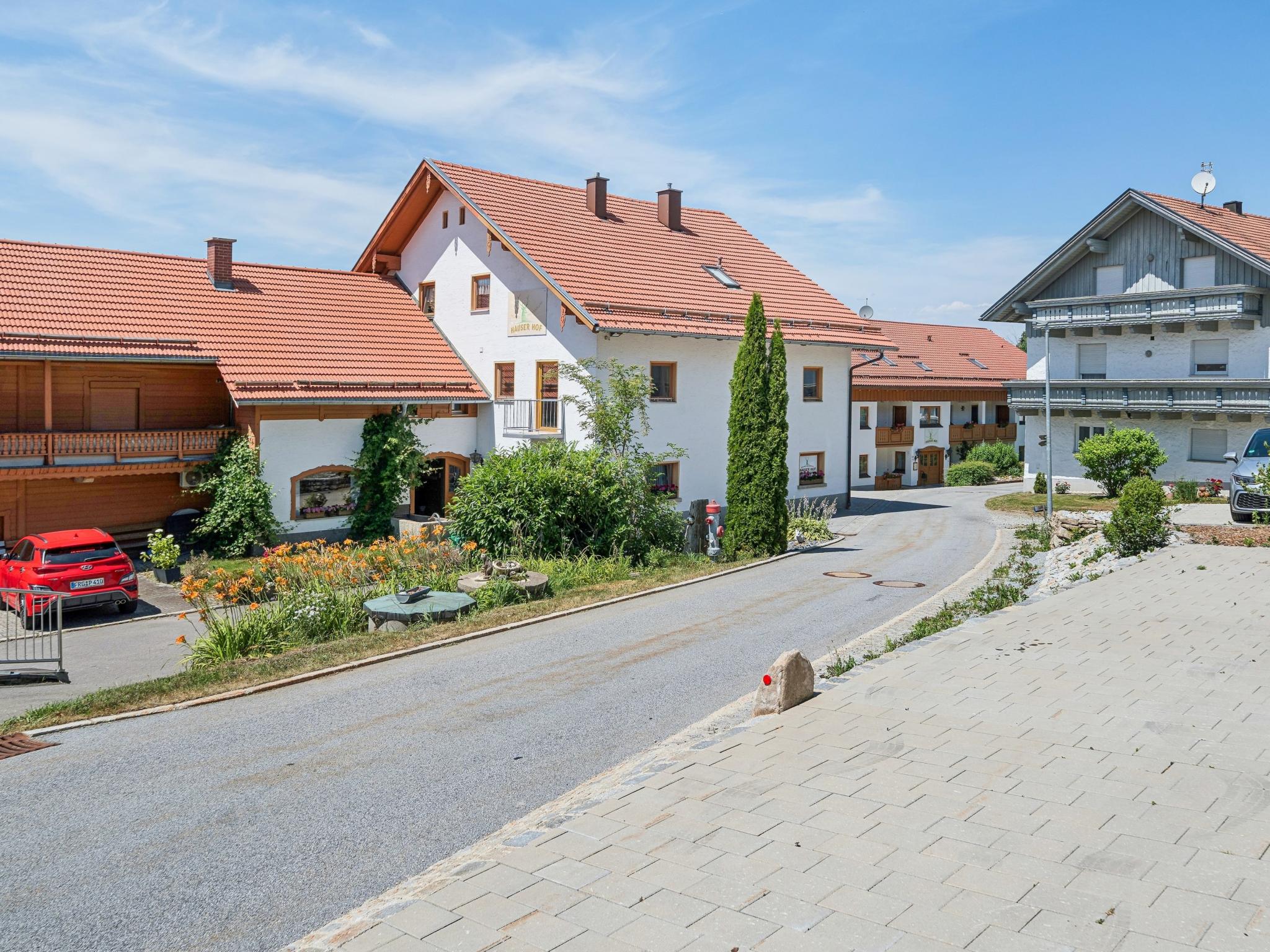 Traudi