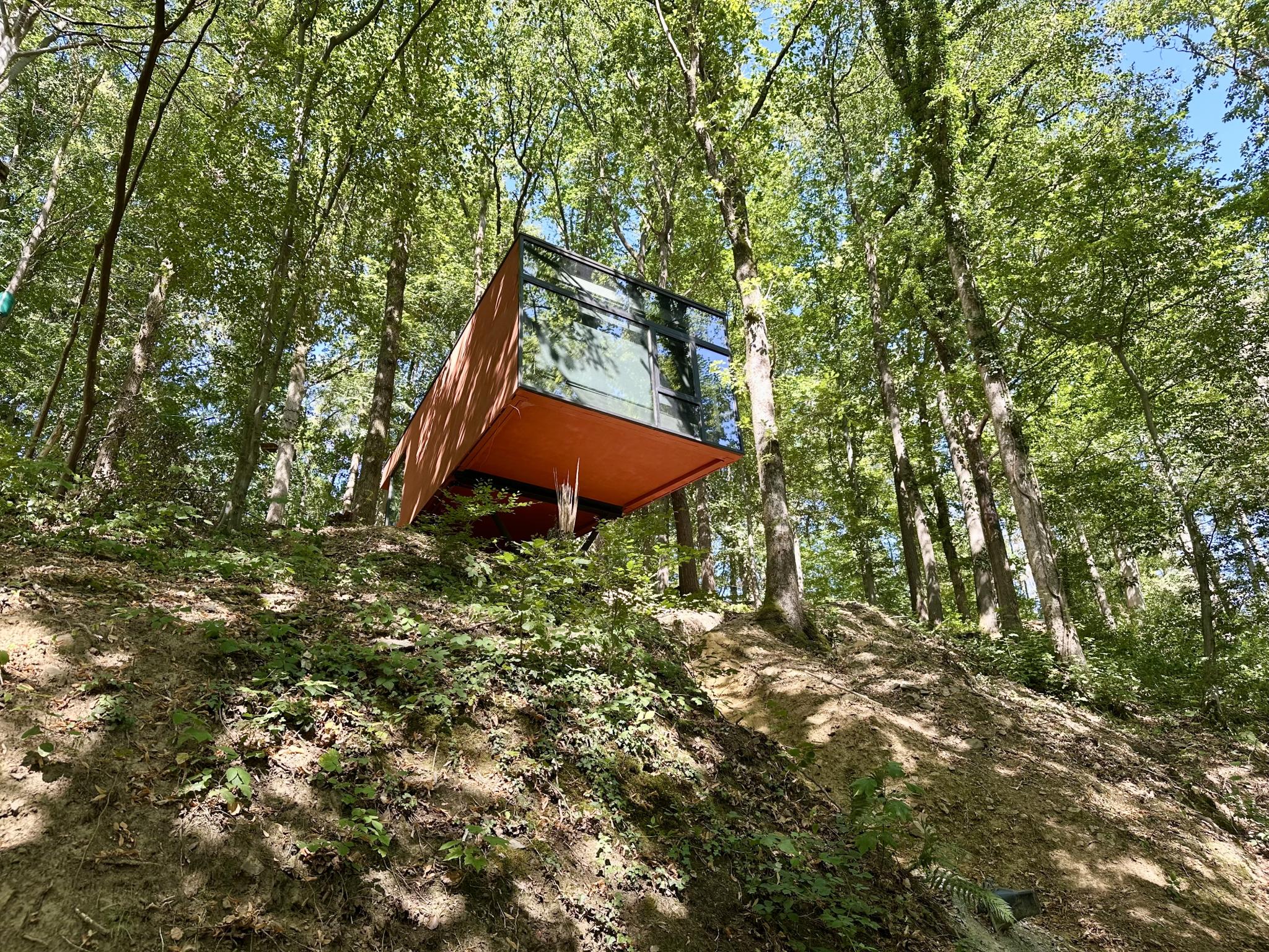 Cabane dans les arbres – afbeelding 4