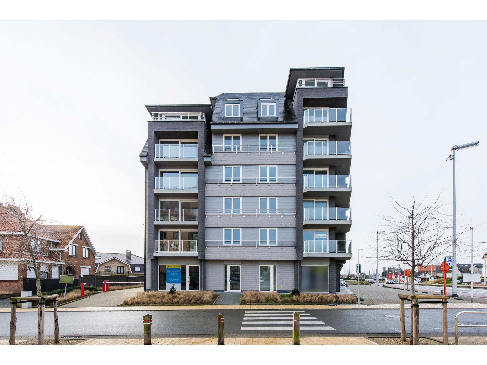 Delmar vierde – afbeelding 4
