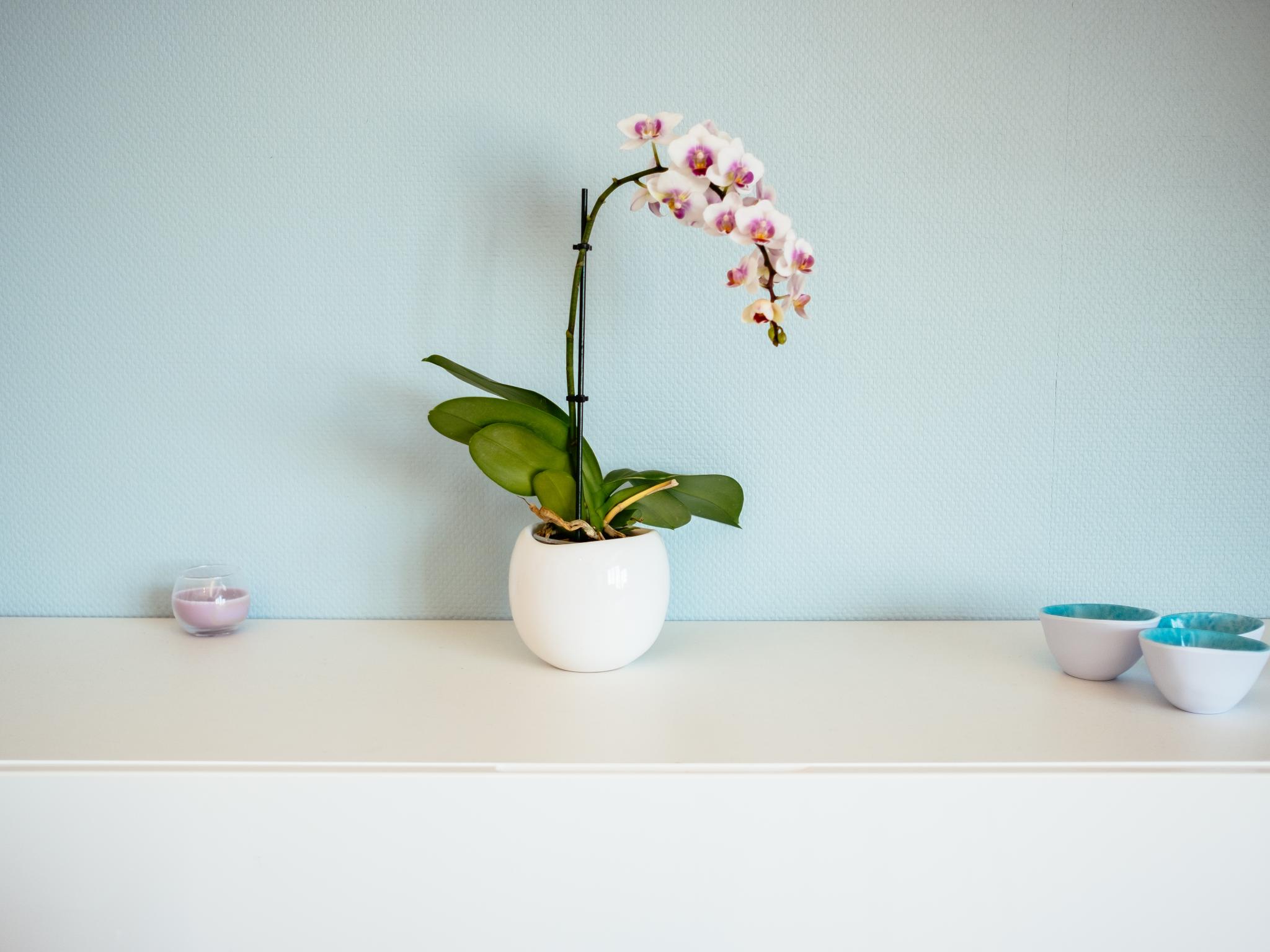 Swimming pool area at La Plage cinq in Koksijde