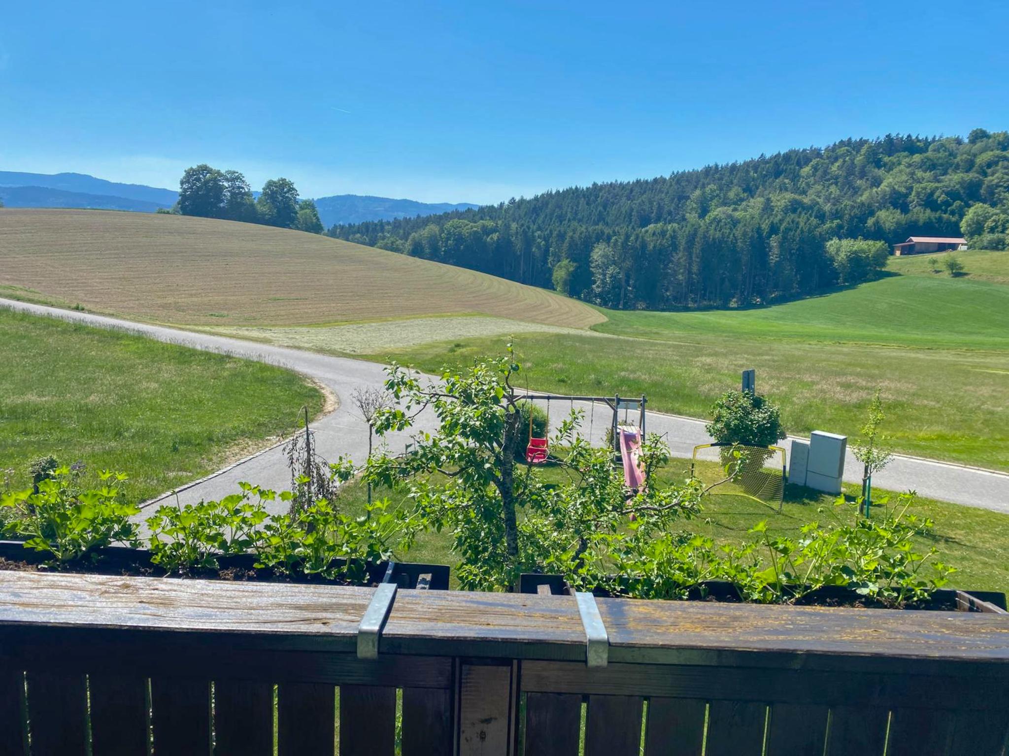 Im Bayerischen Wald – afbeelding 3